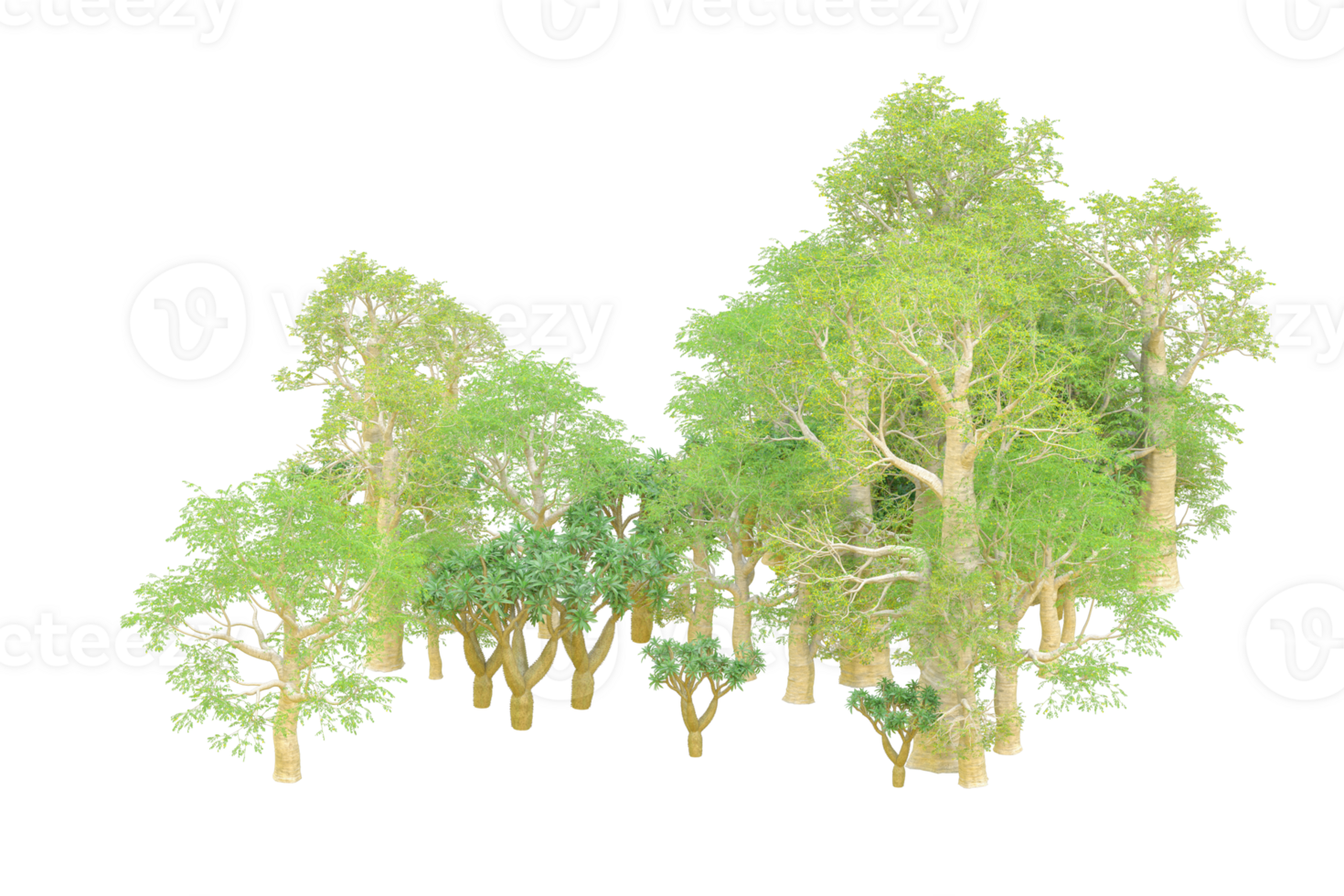 Tropical forest isolated on transparent background. 3d rendering - illustration png