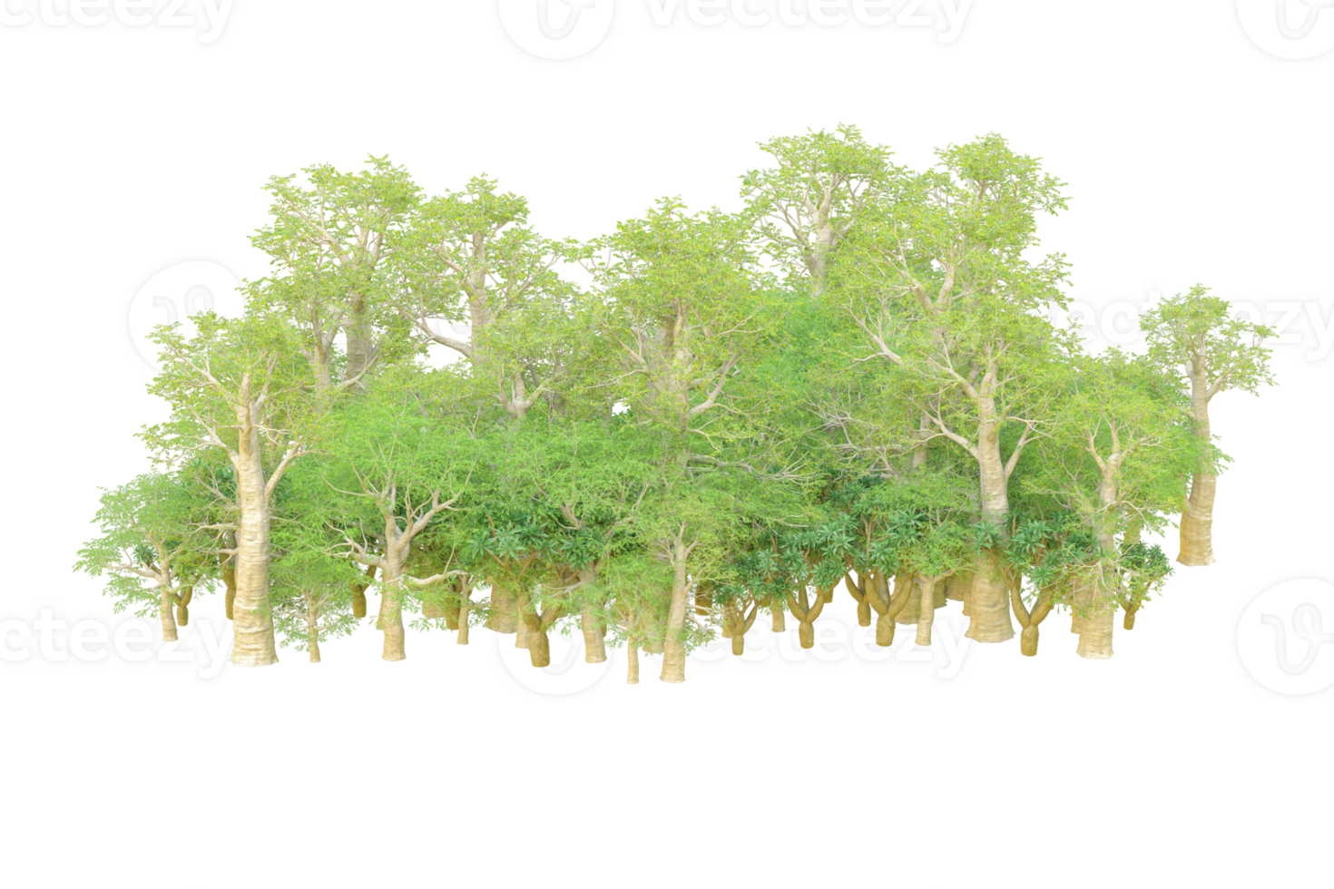 Tropical forest isolated on transparent background. 3d rendering - illustration png
