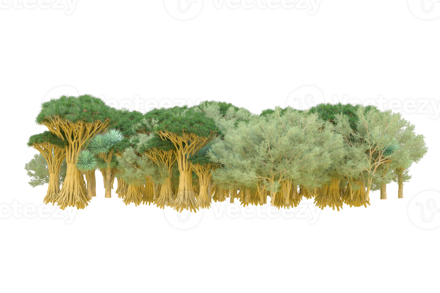 Tropical forest isolated on transparent background. 3d rendering - illustration png