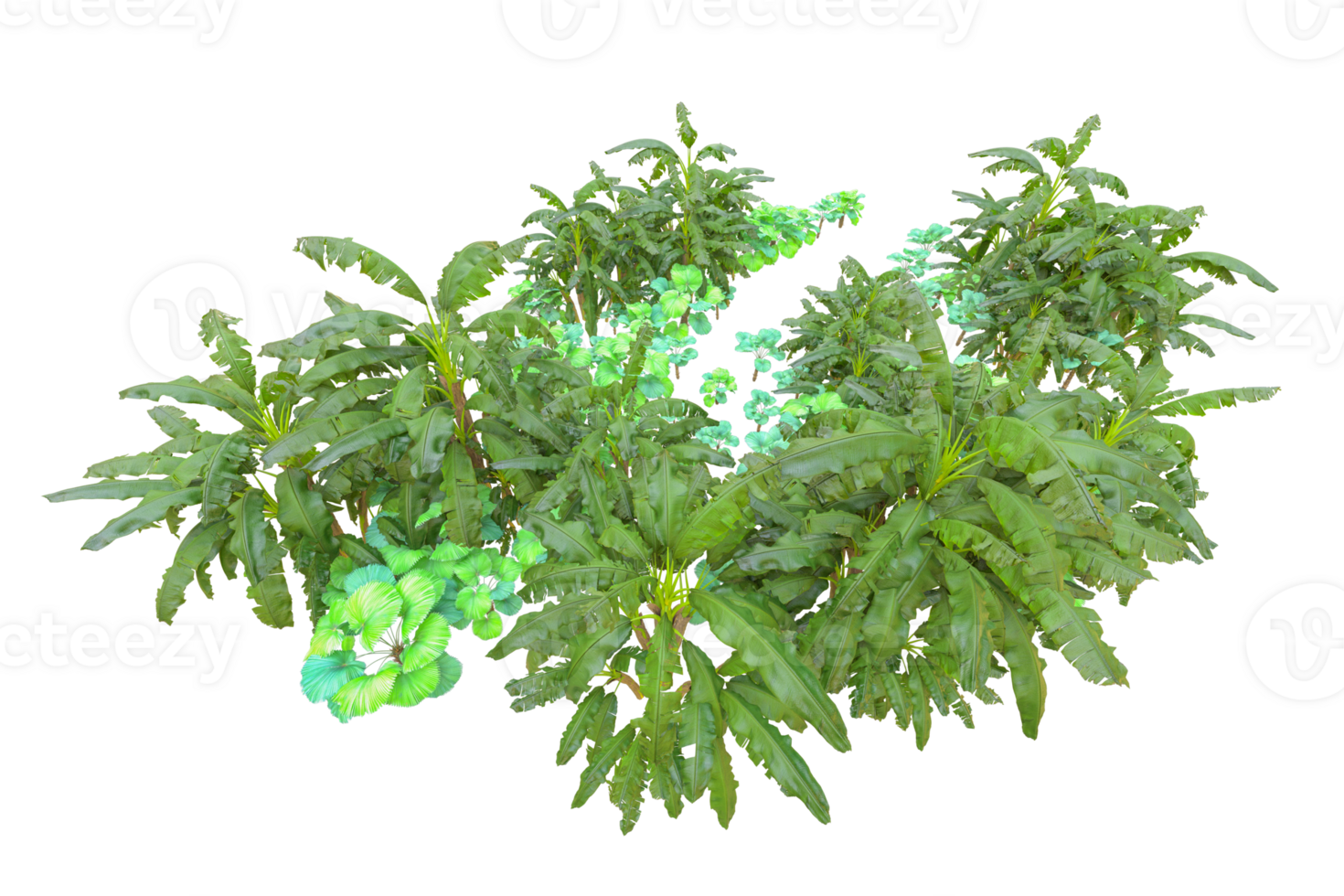 Tropical forest isolated on transparent background. 3d rendering - illustration png