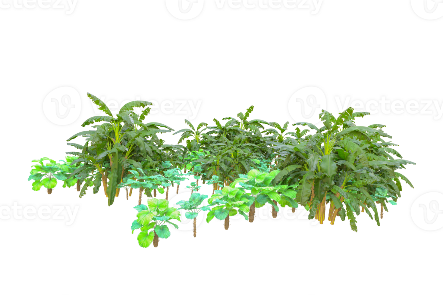 Tropical forest isolated on transparent background. 3d rendering - illustration png