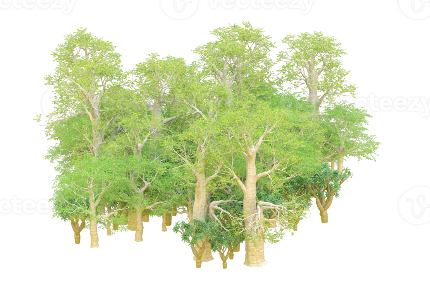 Tropical forest isolated on transparent background. 3d rendering - illustration png