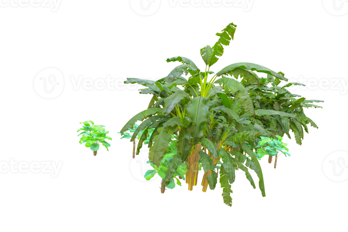 Tropical forest isolated on transparent background. 3d rendering - illustration png