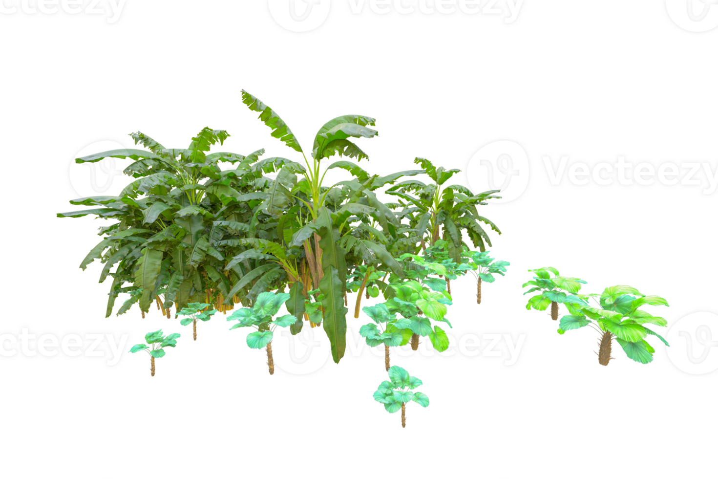 Tropical forest isolated on transparent background. 3d rendering - illustration png
