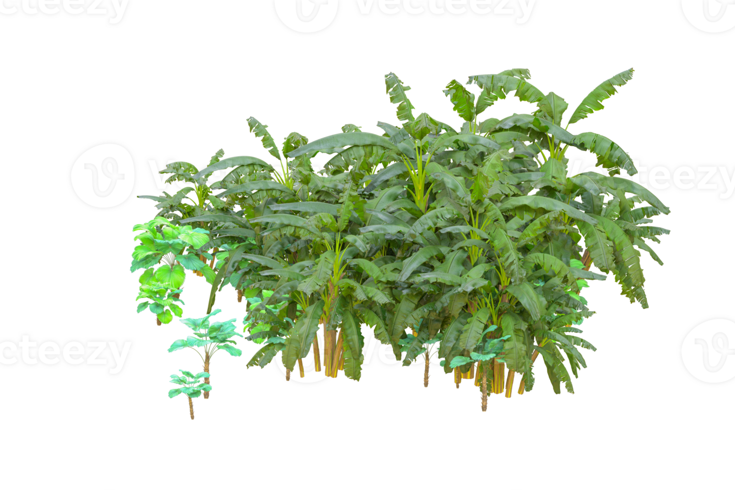 Tropical forest isolated on transparent background. 3d rendering - illustration png