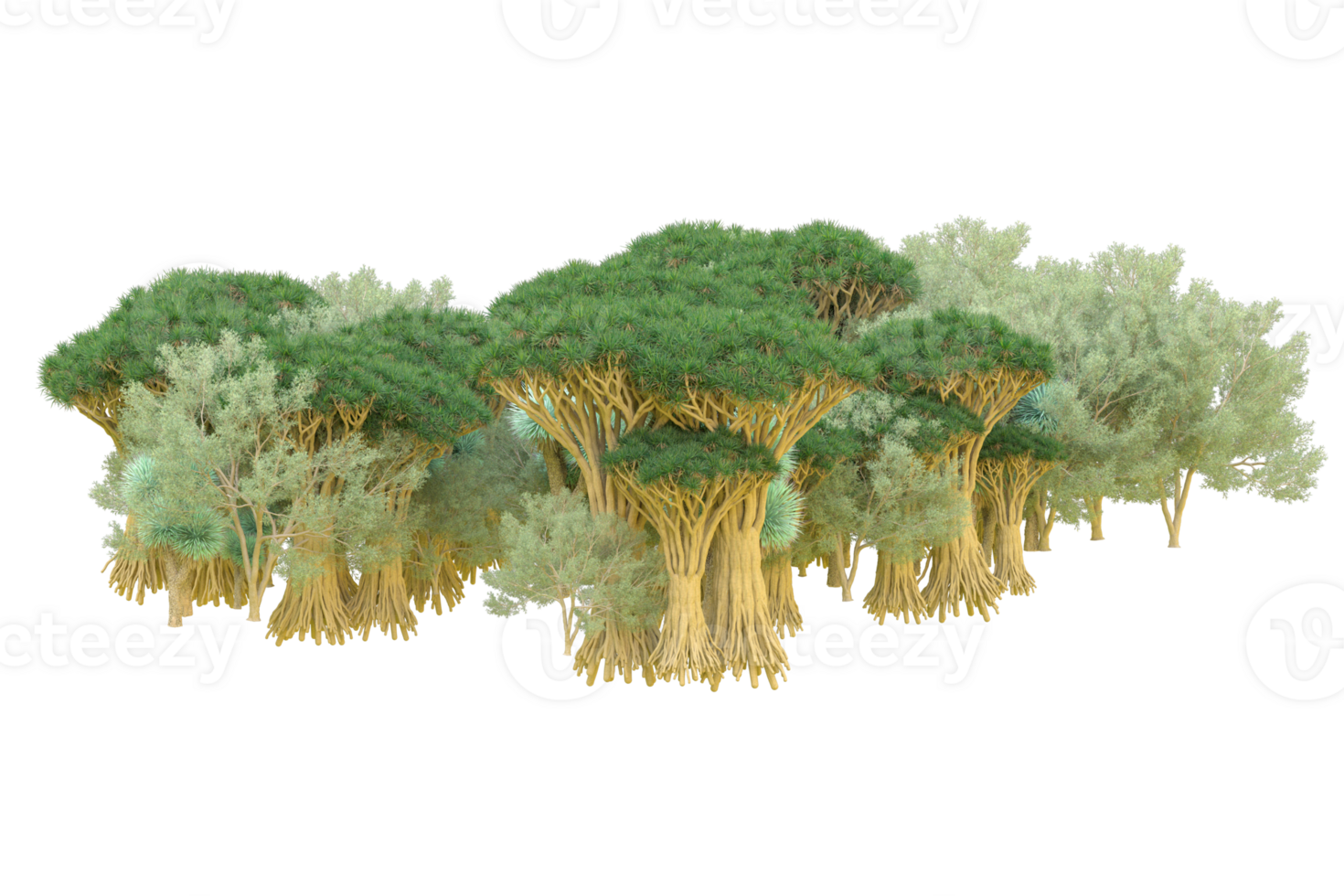 Tropical forest isolated on transparent background. 3d rendering - illustration png