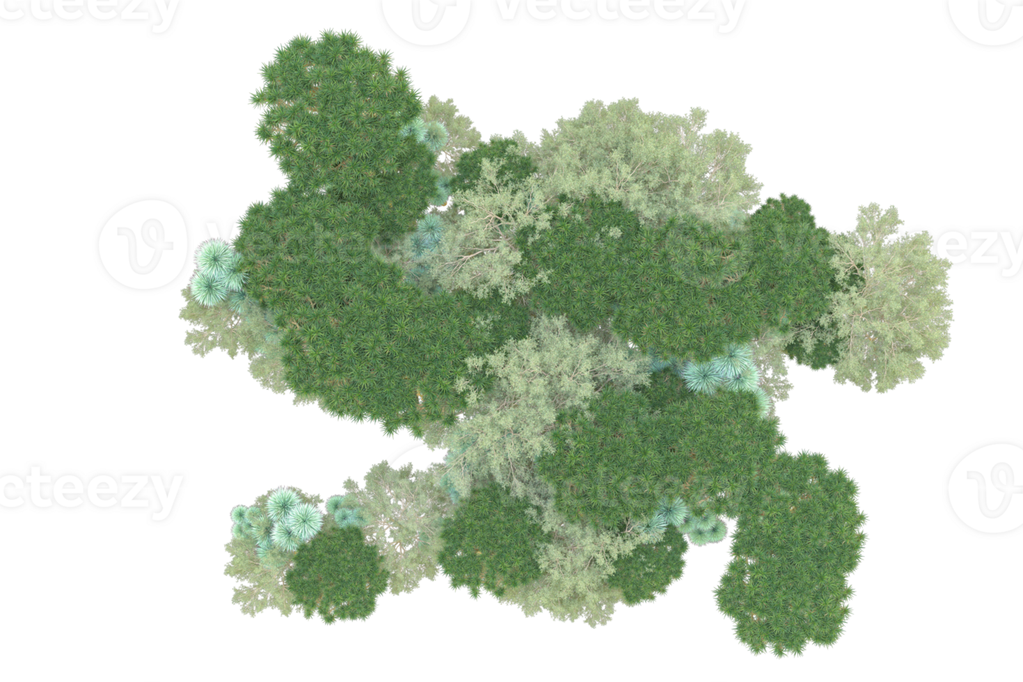 Tropical forest isolated on transparent background. 3d rendering - illustration png