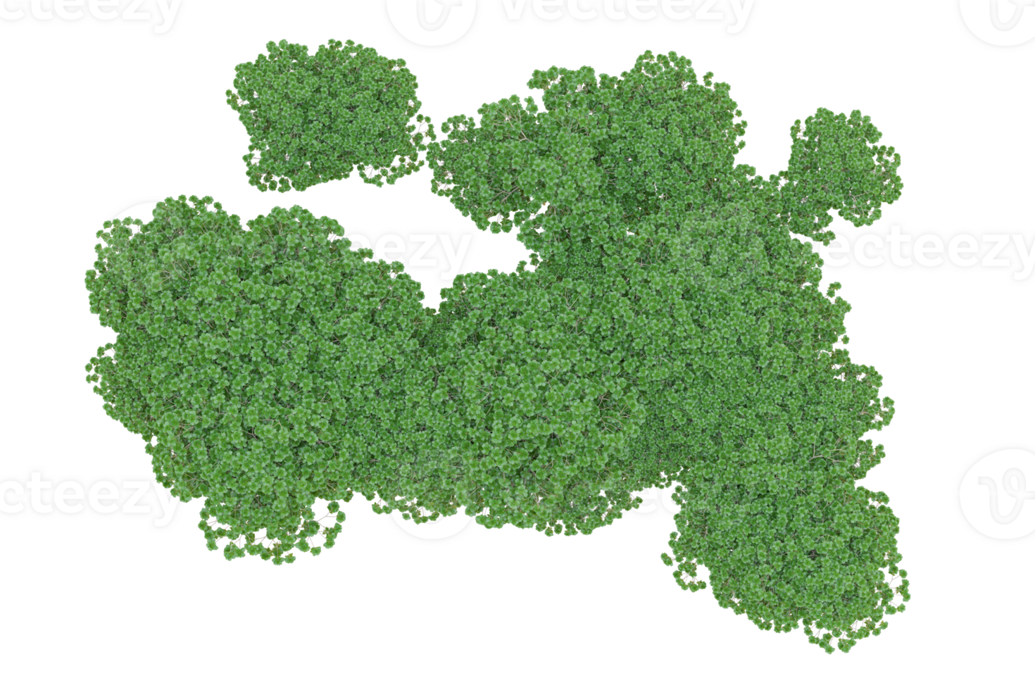 Tropical forest isolated on transparent background. 3d rendering - illustration png