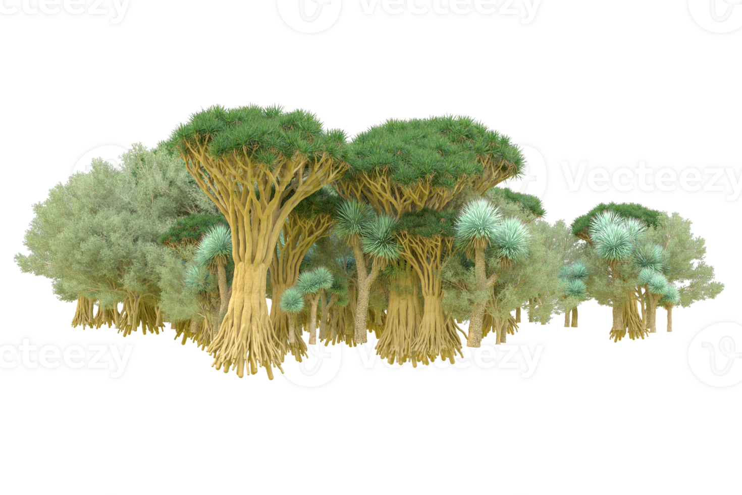 Tropical forest isolated on transparent background. 3d rendering - illustration png