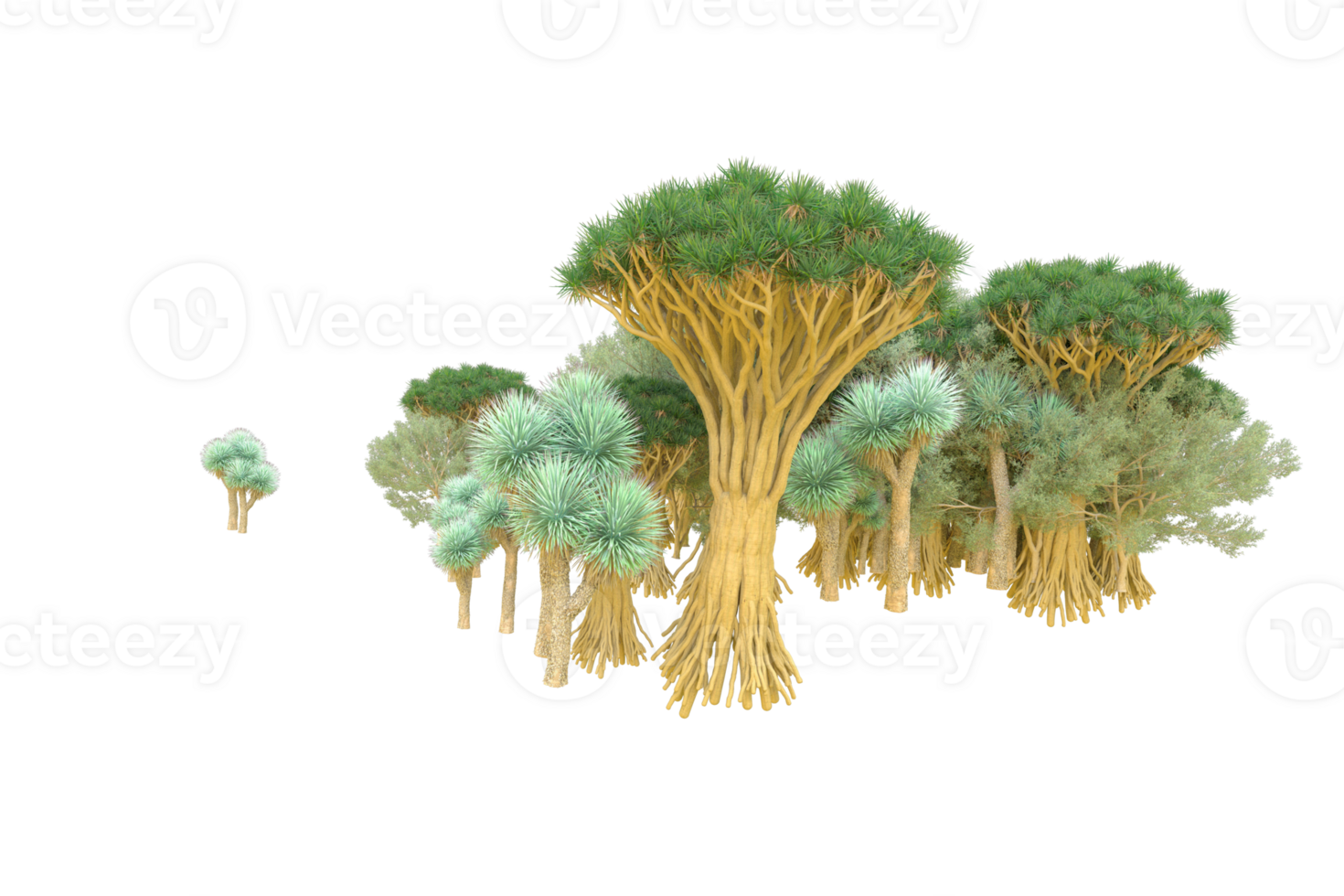 Tropical forest isolated on transparent background. 3d rendering - illustration png