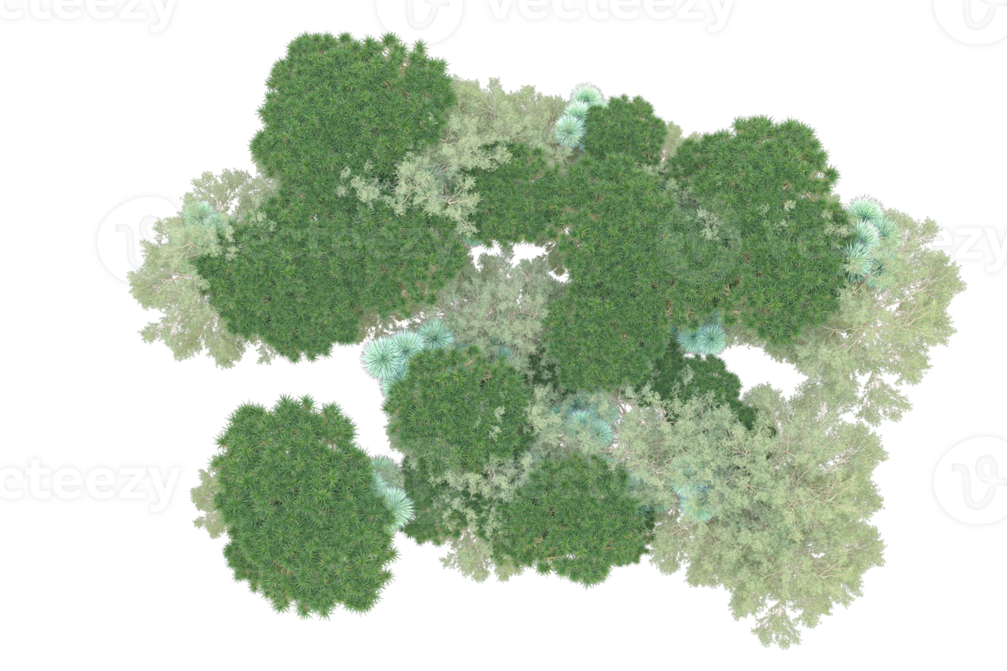 Tropical forest isolated on transparent background. 3d rendering - illustration png