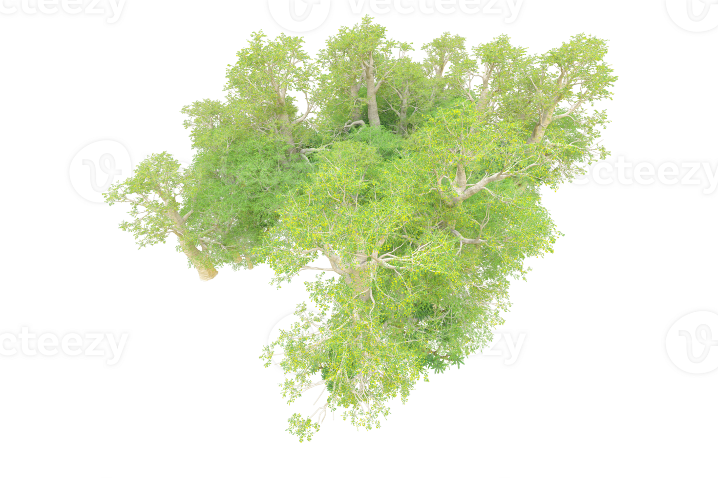 Tropical forest isolated on transparent background. 3d rendering - illustration png