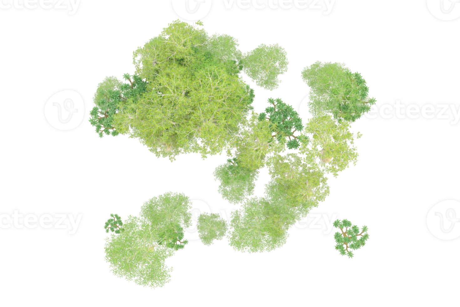 Tropical forest isolated on transparent background. 3d rendering - illustration png