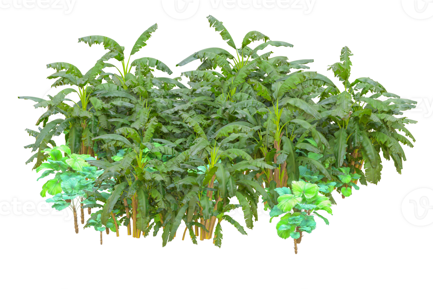 Tropical forest isolated on transparent background. 3d rendering - illustration png