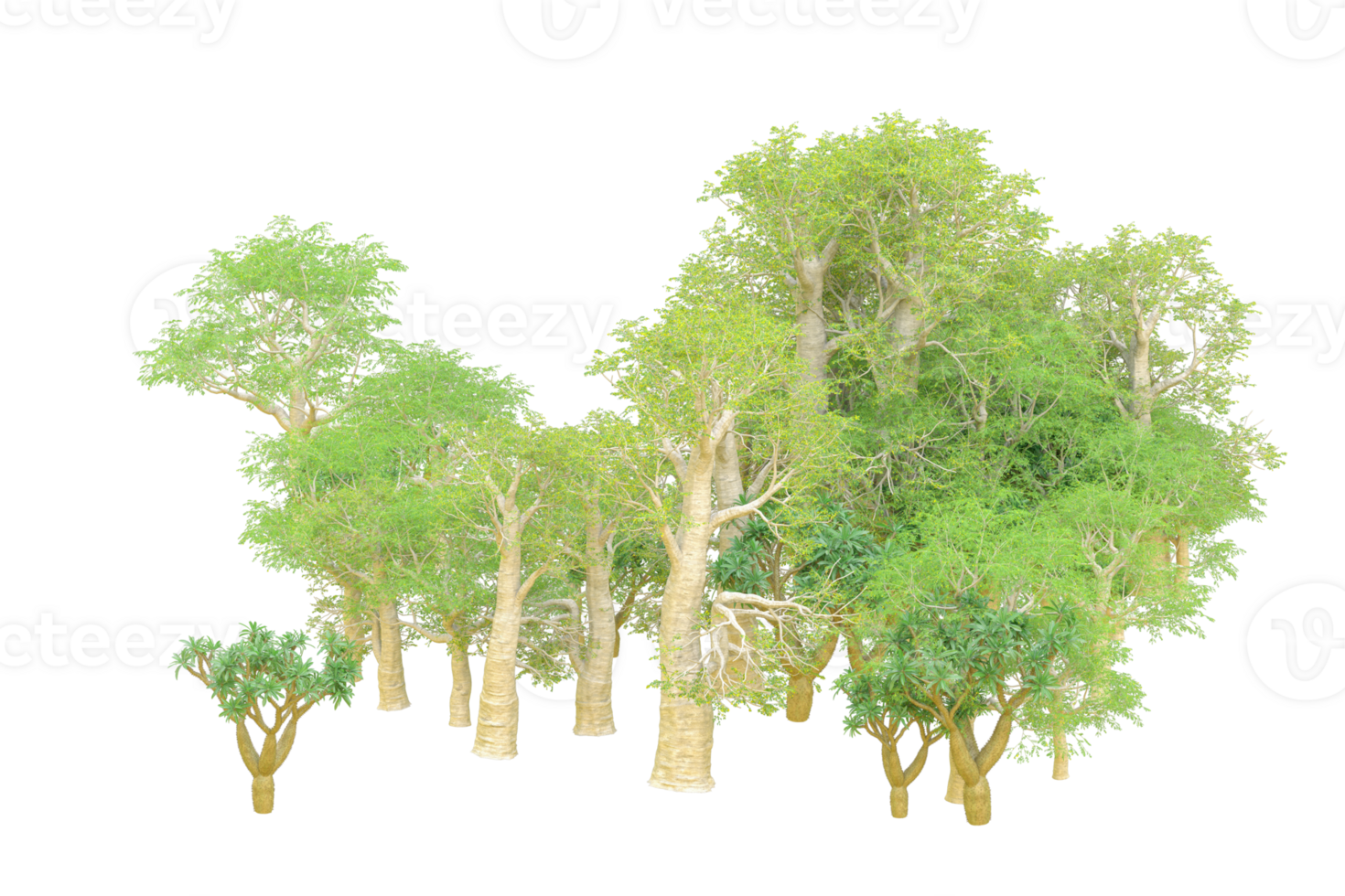 Tropical forest isolated on transparent background. 3d rendering - illustration png