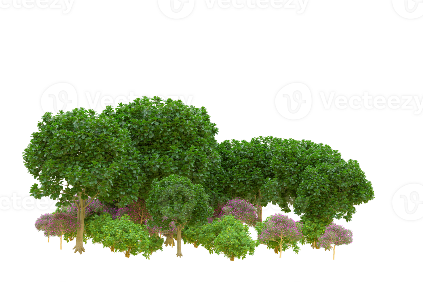 Tropical forest isolated on transparent background. 3d rendering - illustration png