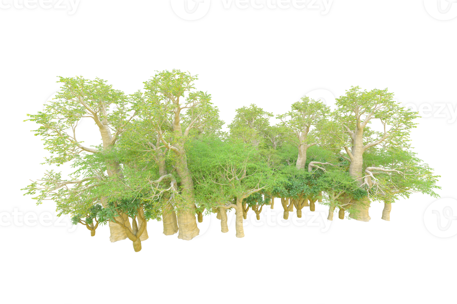 Tropical forest isolated on transparent background. 3d rendering - illustration png