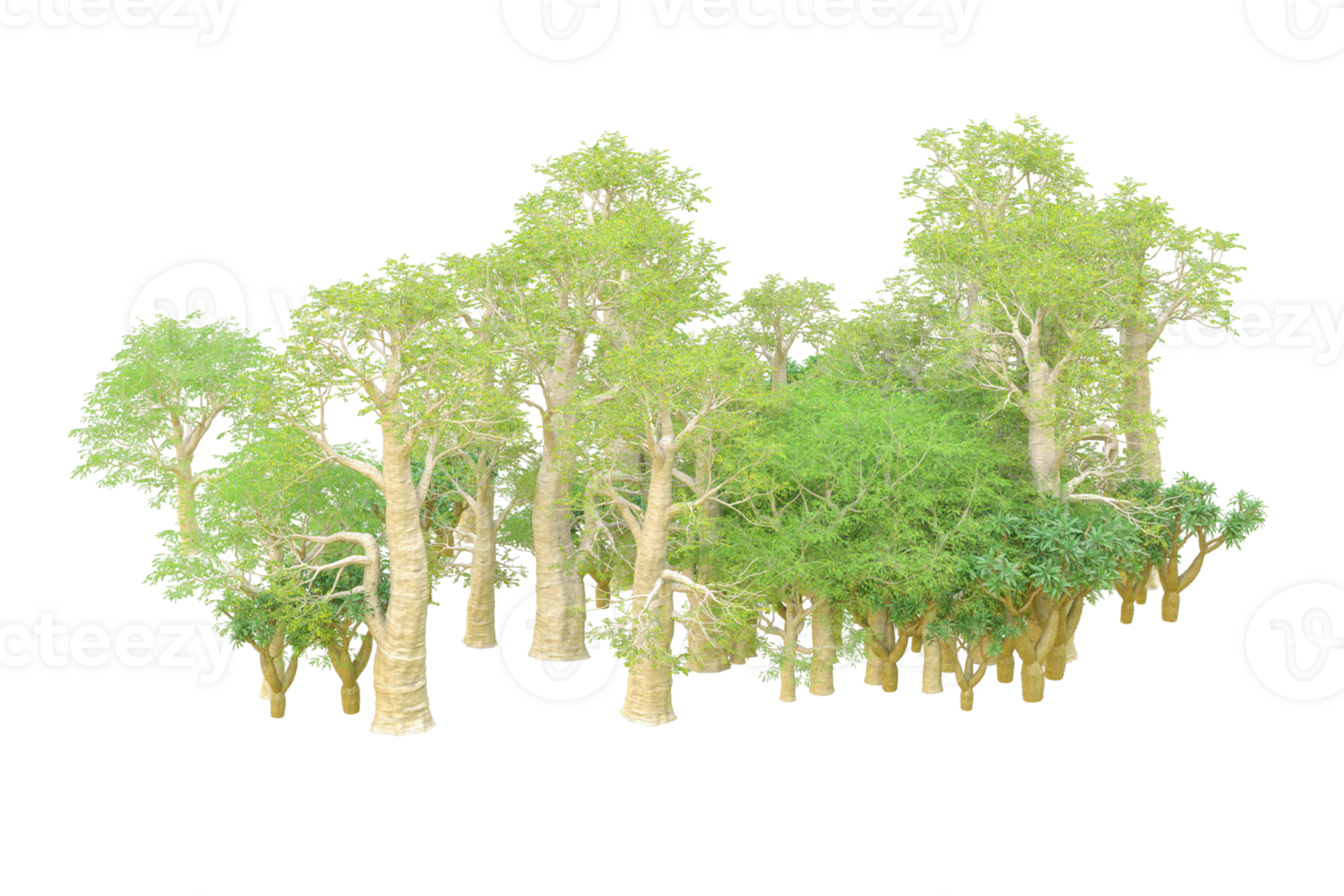 Tropical forest isolated on transparent background. 3d rendering - illustration png