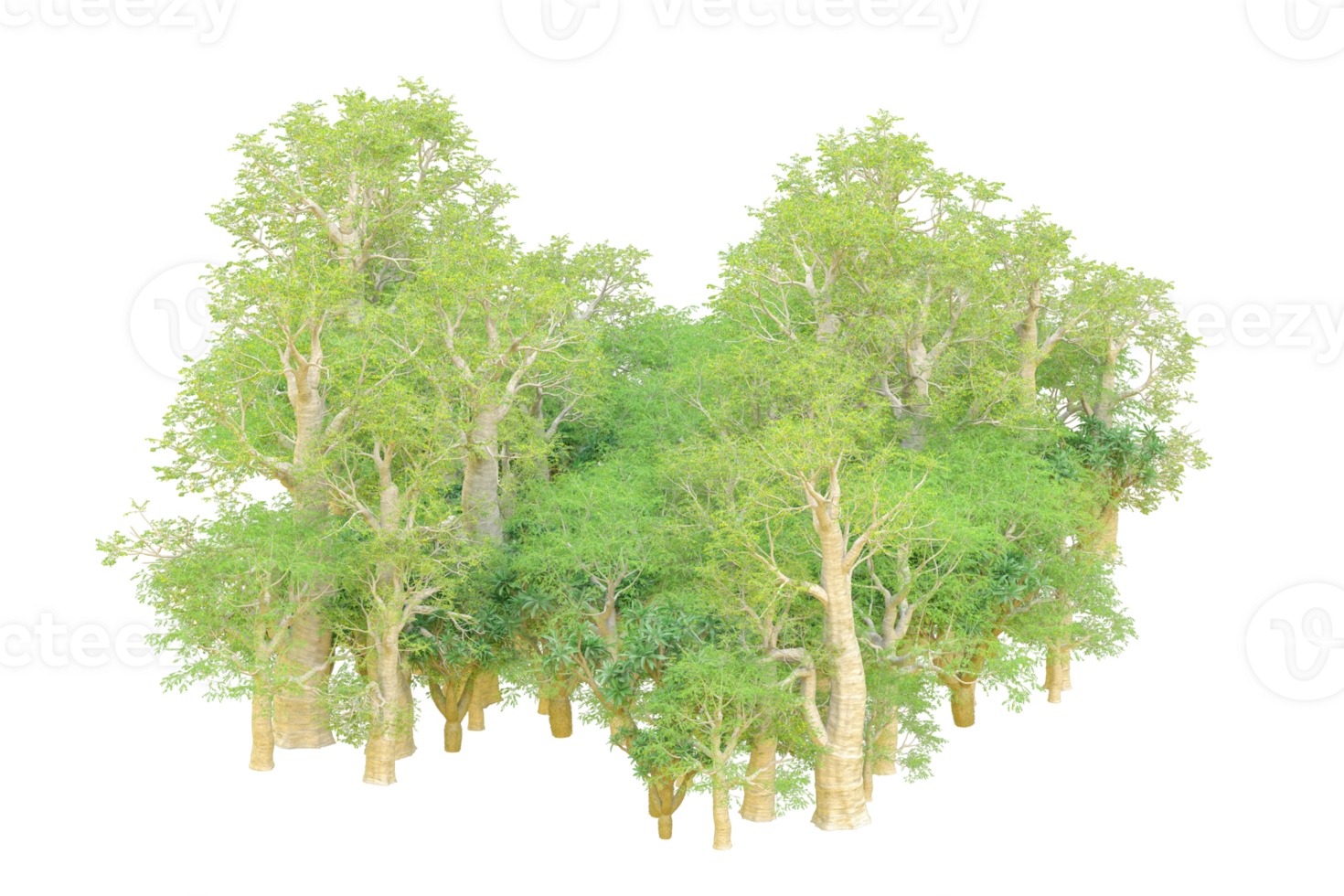 Tropical forest isolated on transparent background. 3d rendering - illustration png