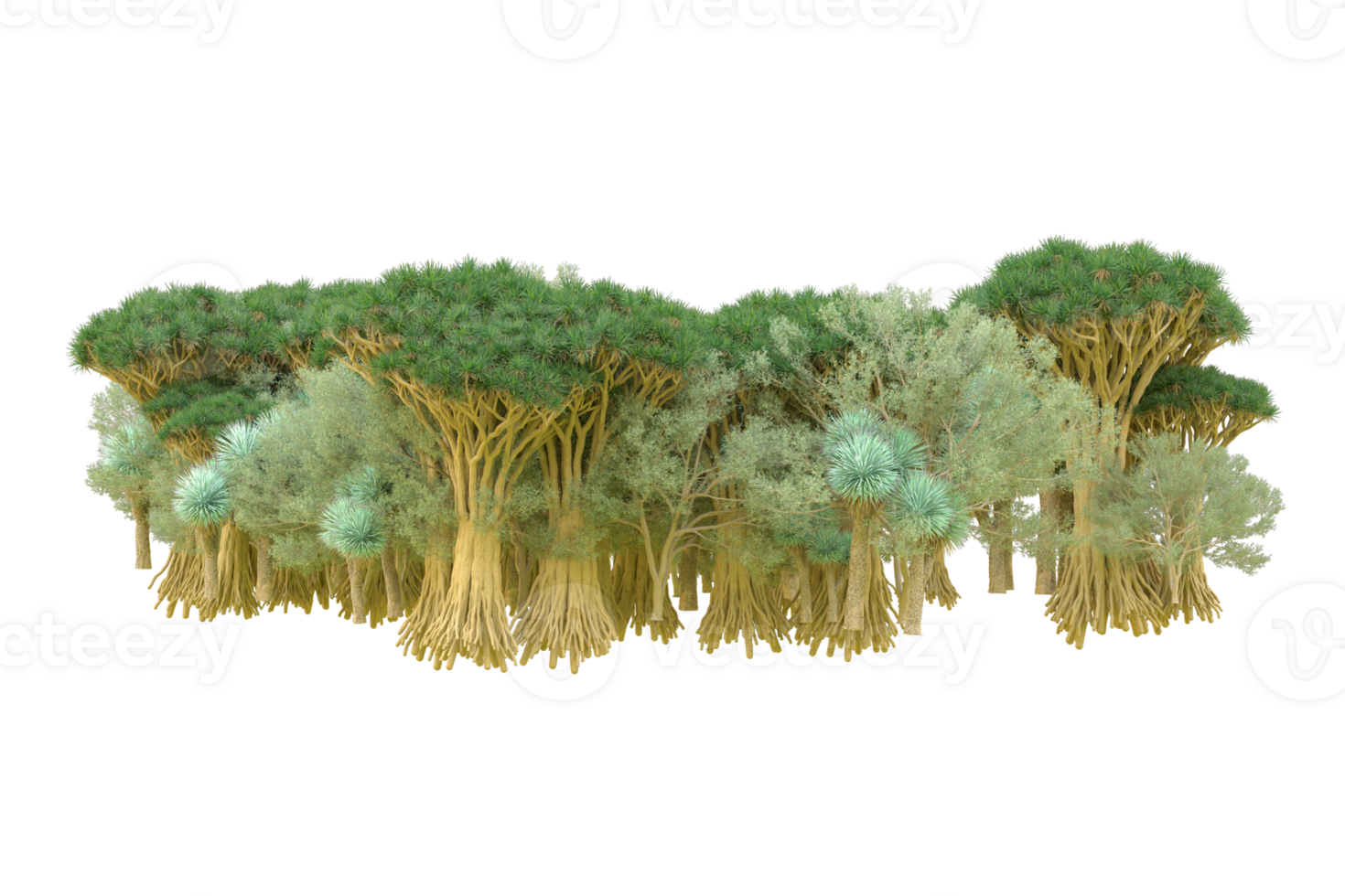 Tropical forest isolated on transparent background. 3d rendering - illustration png