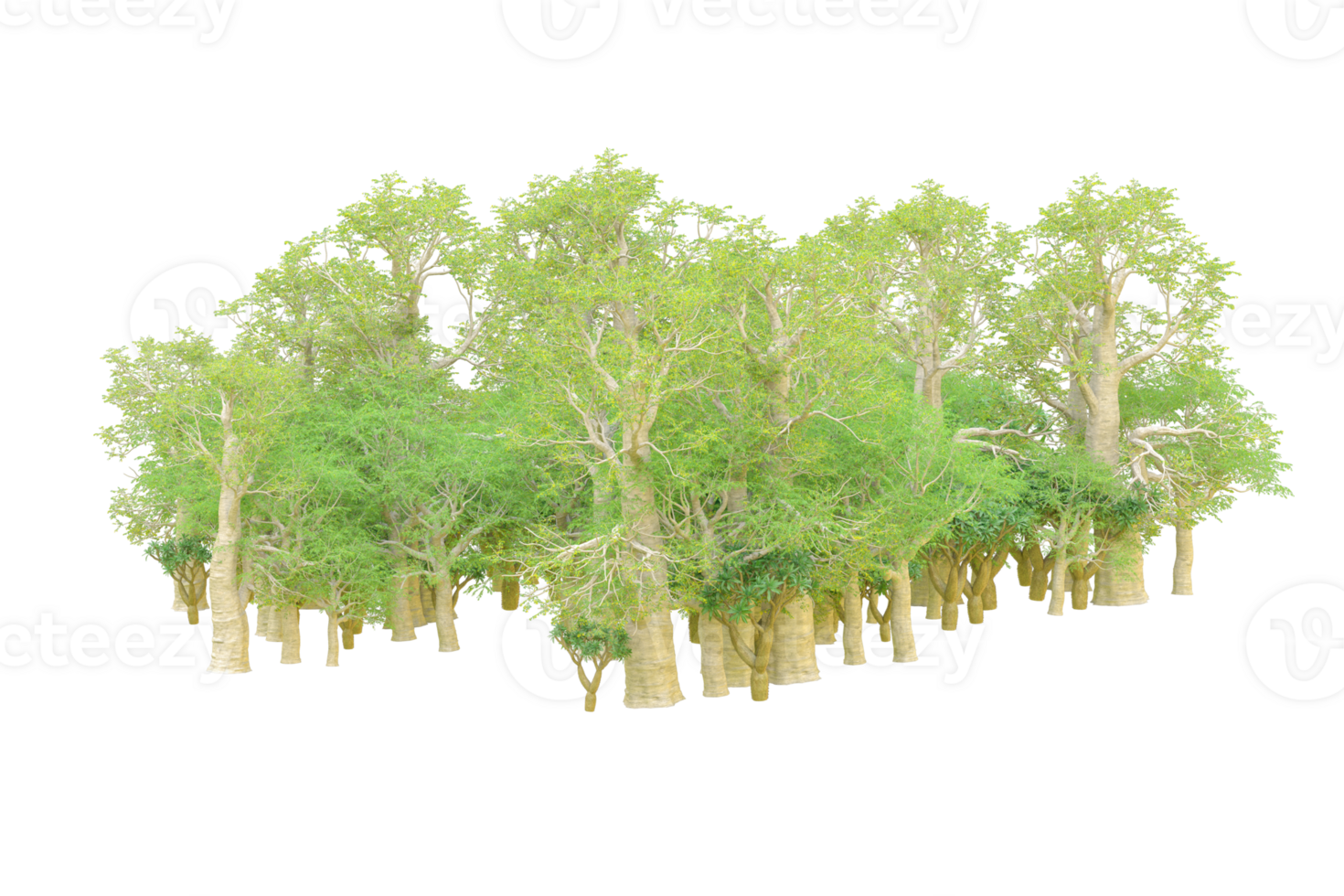 Tropical forest isolated on transparent background. 3d rendering - illustration png