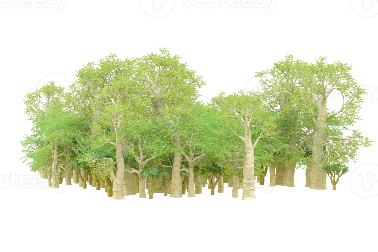 Tropical forest isolated on transparent background. 3d rendering - illustration png