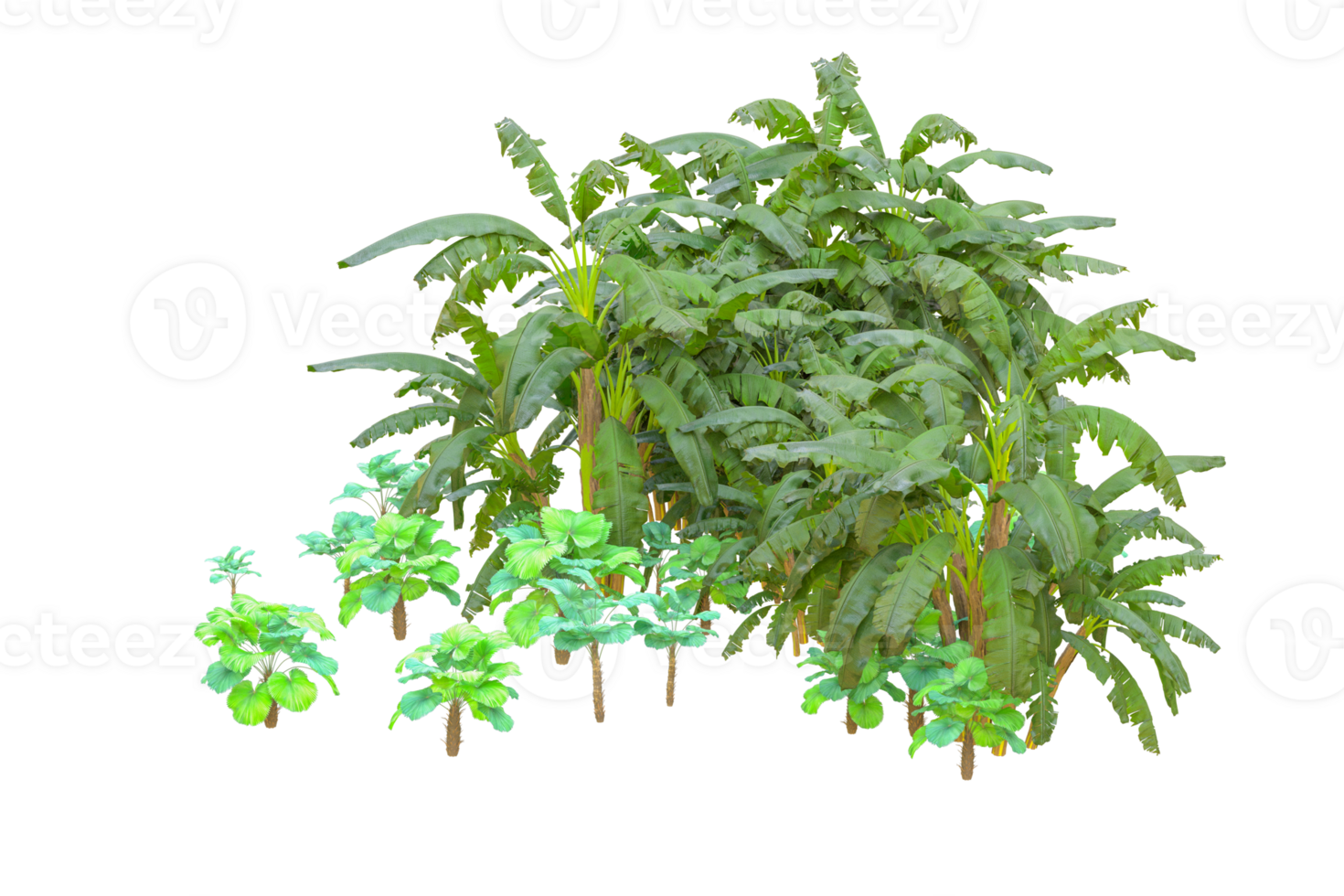 Tropical forest isolated on transparent background. 3d rendering - illustration png