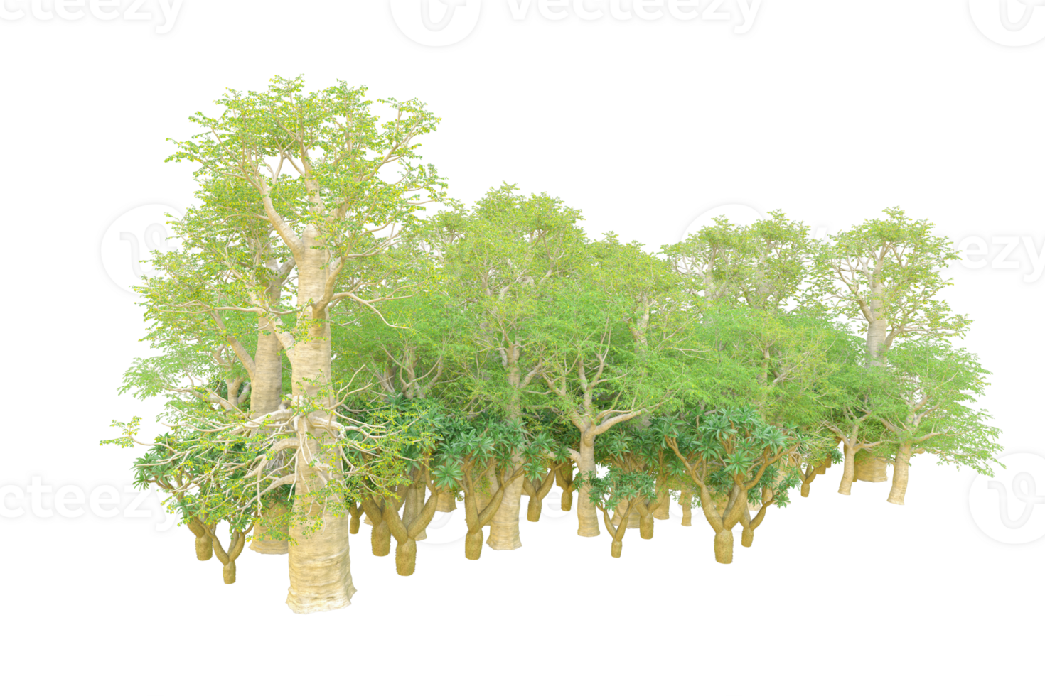 Tropical forest isolated on transparent background. 3d rendering - illustration png