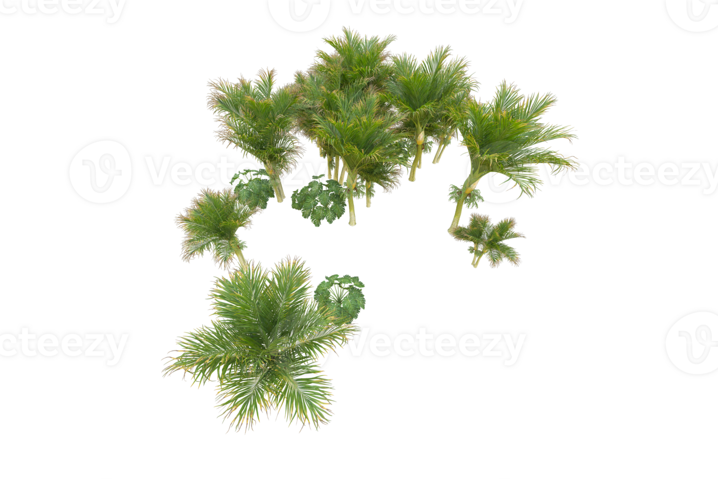Tropical forest isolated on transparent background. 3d rendering - illustration png