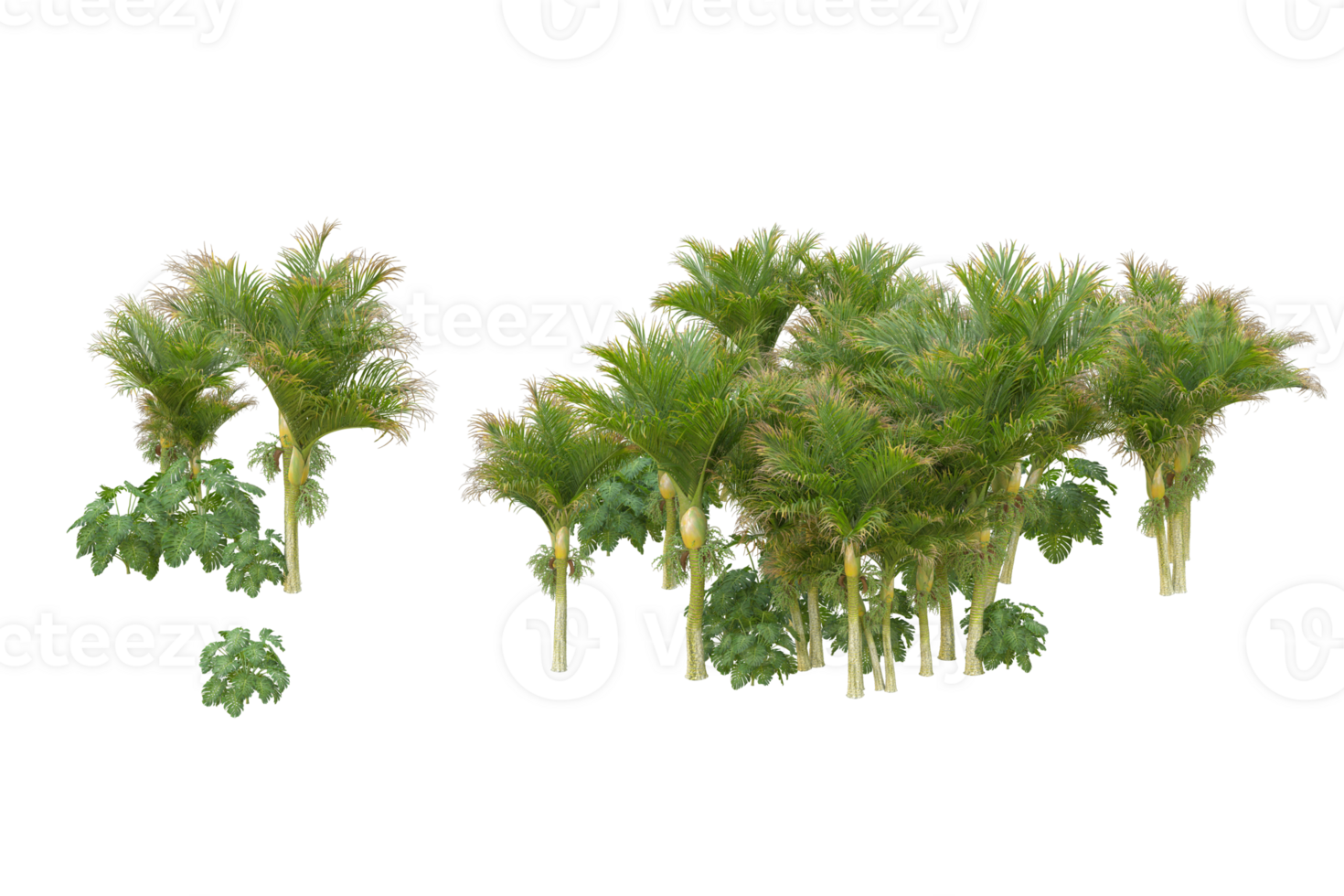 Tropical forest isolated on transparent background. 3d rendering - illustration png