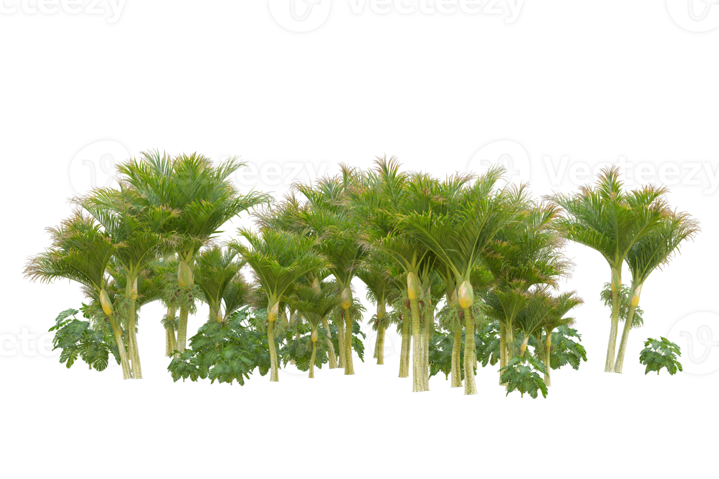 Tropical forest isolated on transparent background. 3d rendering - illustration png