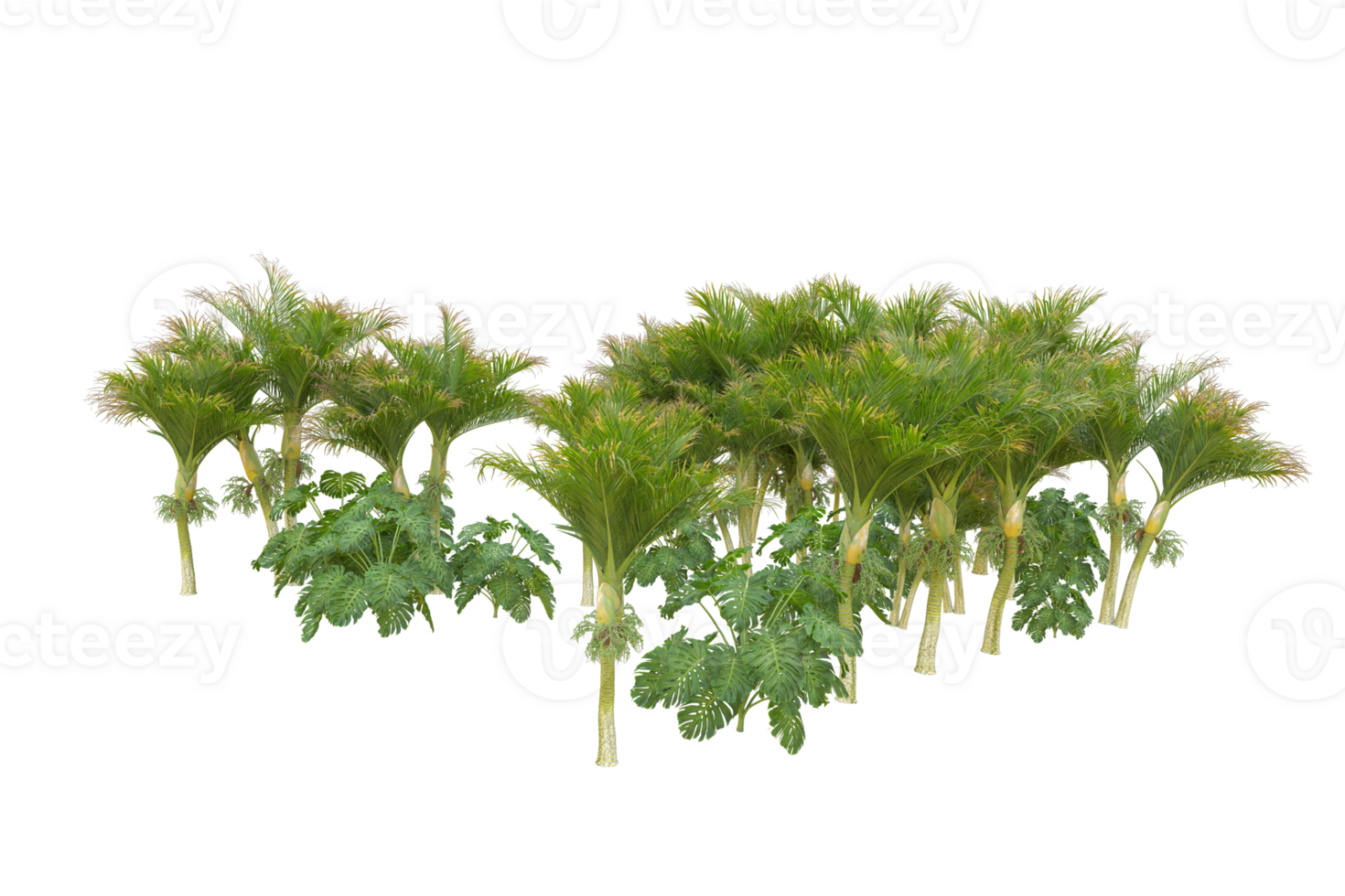 Tropical forest isolated on transparent background. 3d rendering - illustration png