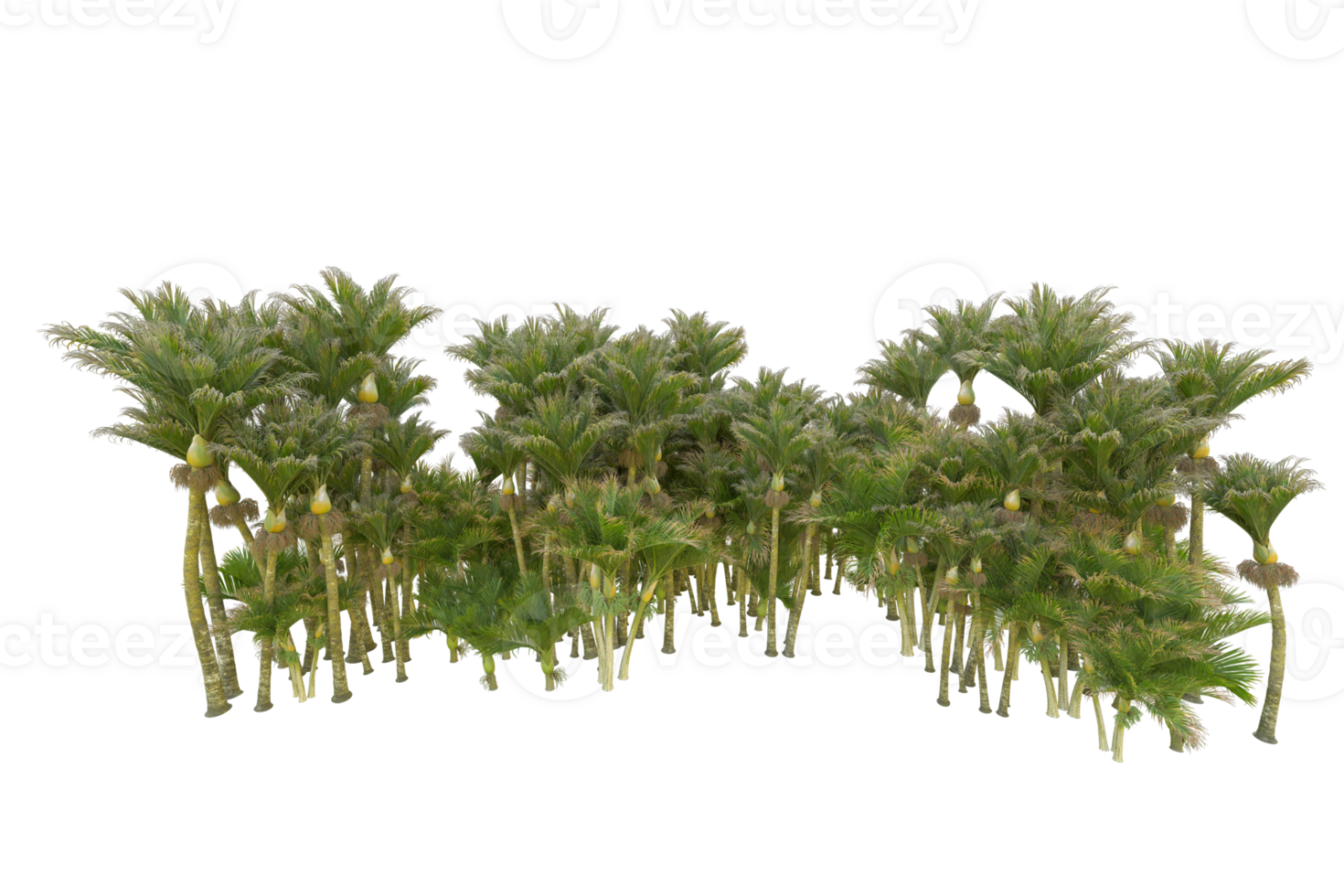 Tropical forest isolated on transparent background. 3d rendering - illustration png