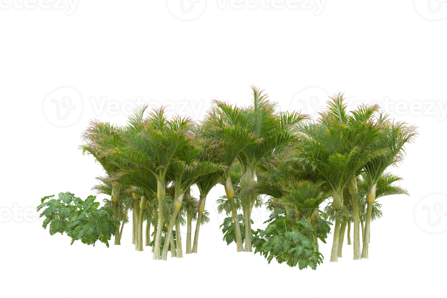 Tropical forest isolated on transparent background. 3d rendering - illustration png