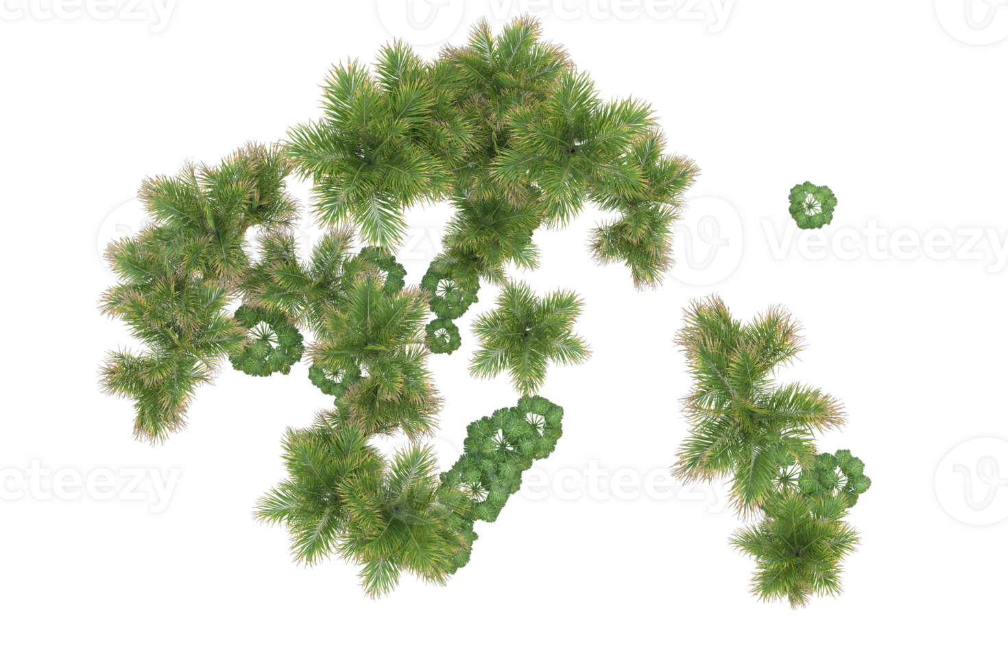 Tropical forest isolated on transparent background. 3d rendering - illustration png