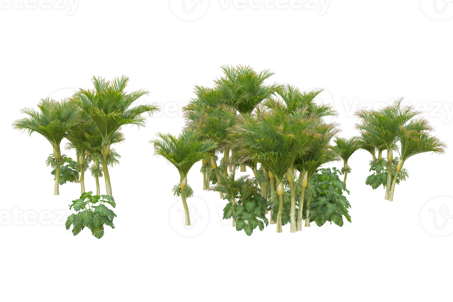 Tropical forest isolated on transparent background. 3d rendering - illustration png