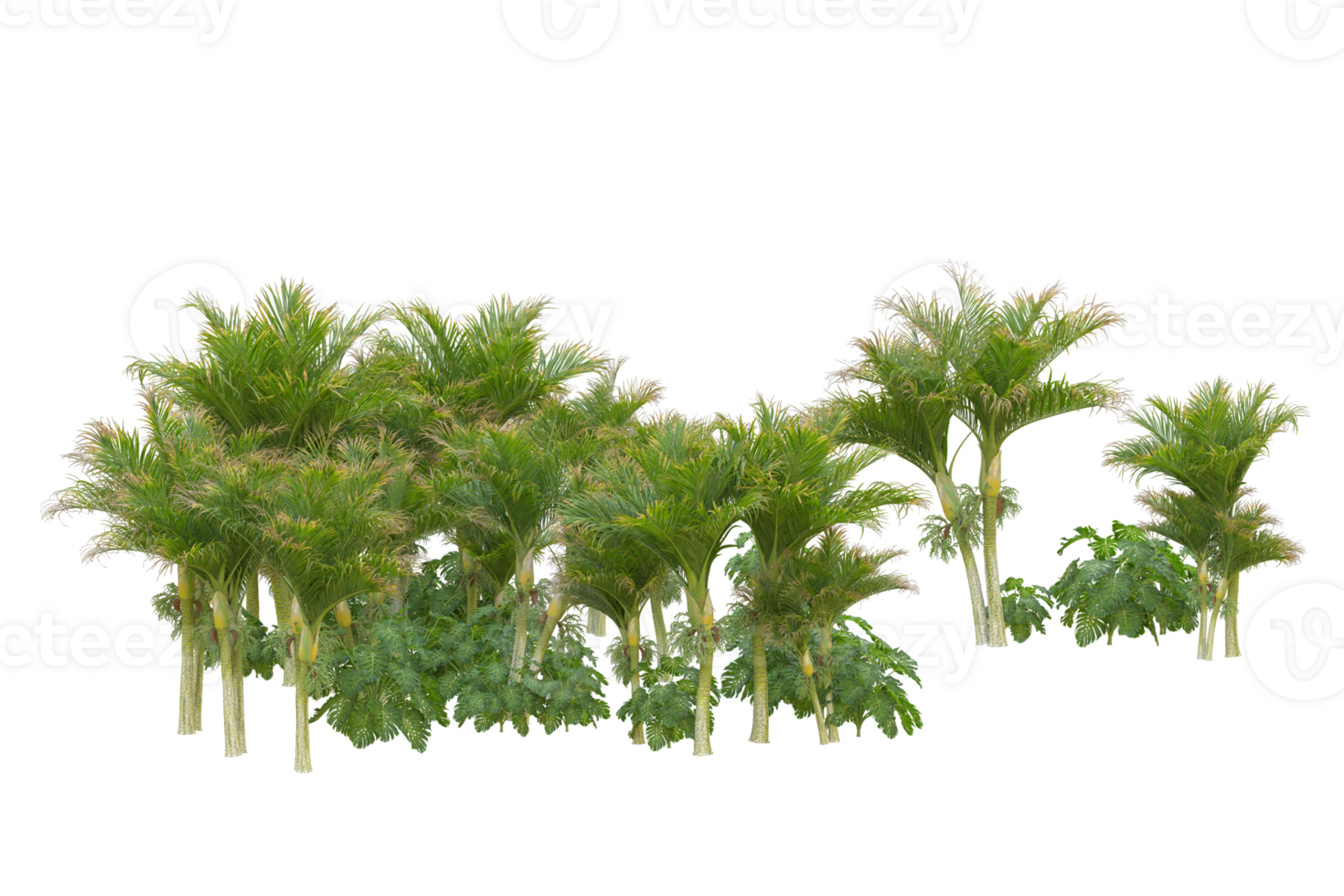 Tropical forest isolated on transparent background. 3d rendering - illustration png