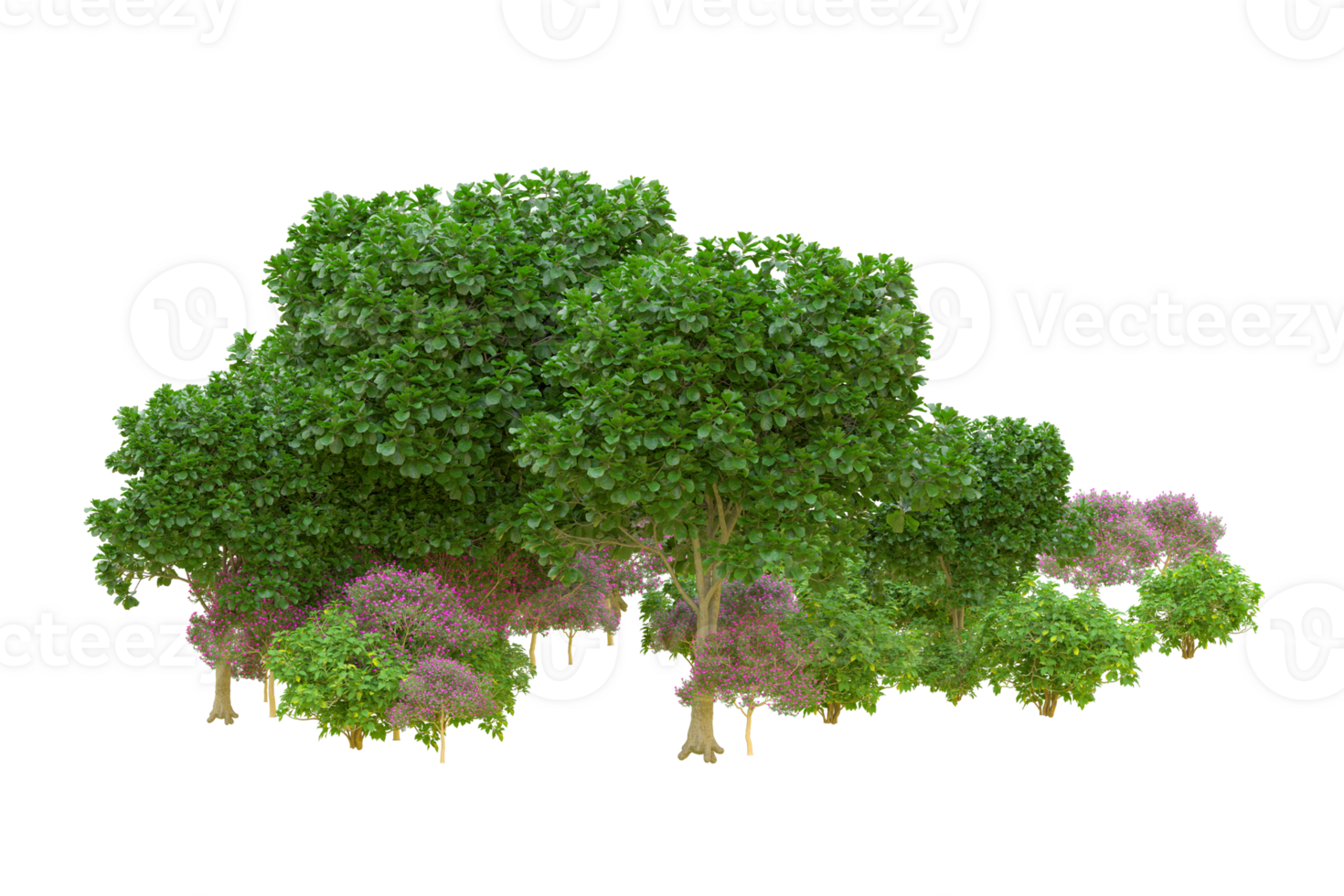 Tropical forest isolated on transparent background. 3d rendering - illustration png