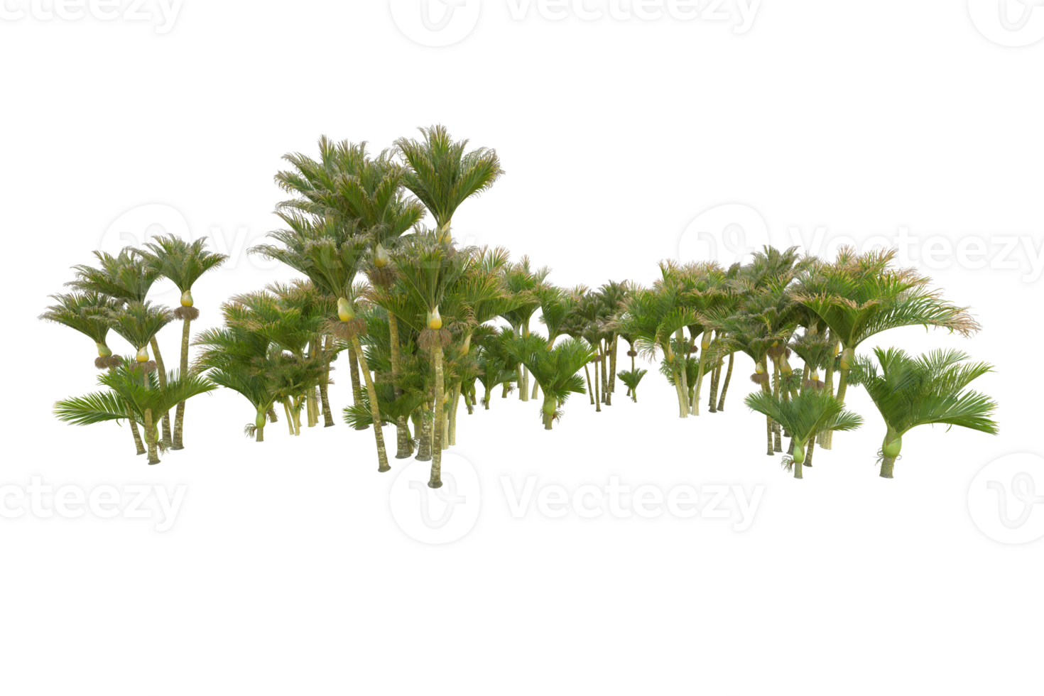 Tropical forest isolated on transparent background. 3d rendering - illustration png