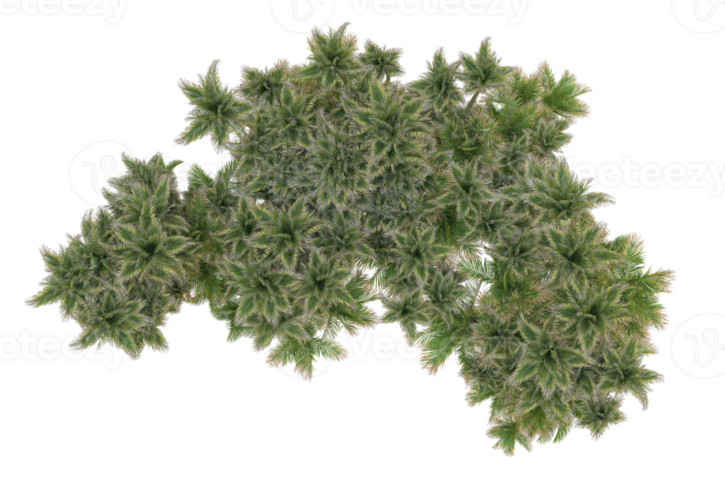 Tropical forest isolated on transparent background. 3d rendering - illustration png