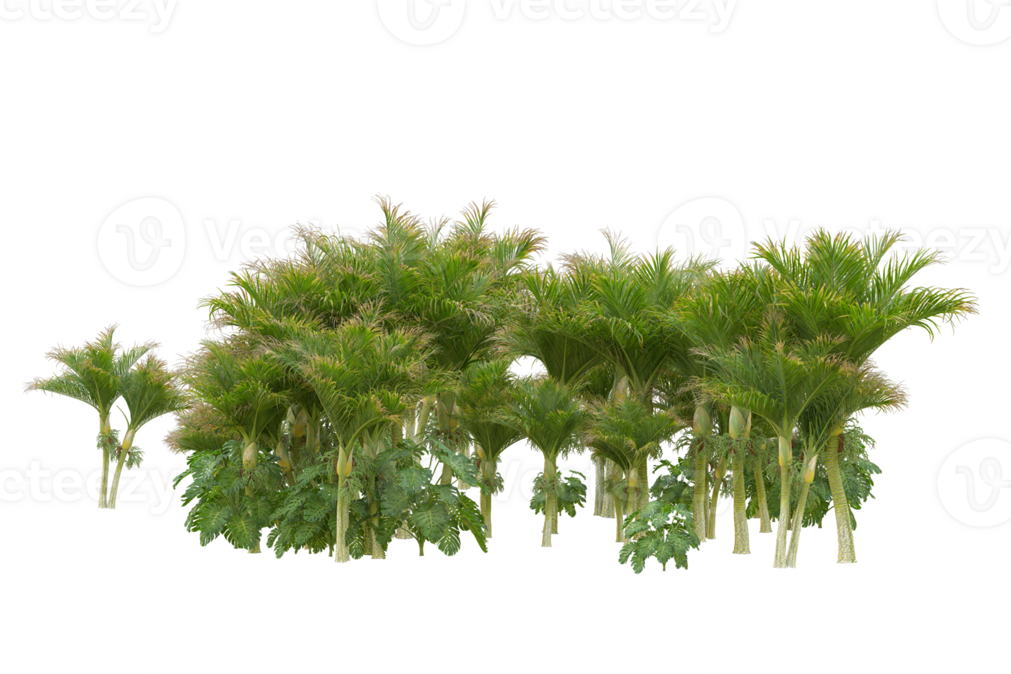 Tropical forest isolated on transparent background. 3d rendering - illustration png