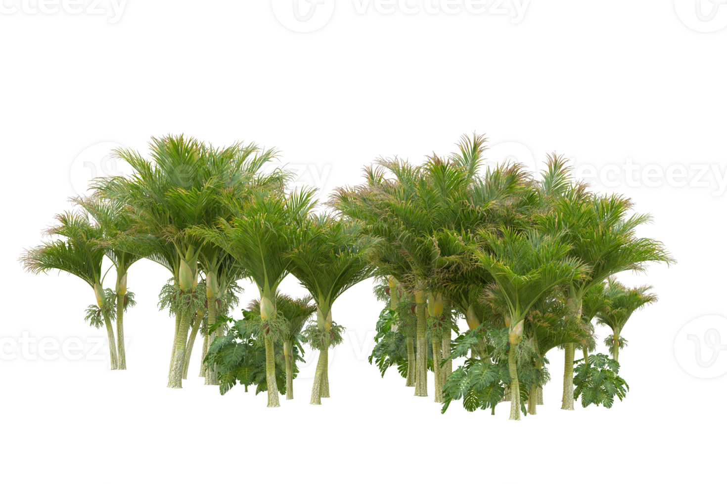 Tropical forest isolated on transparent background. 3d rendering - illustration png