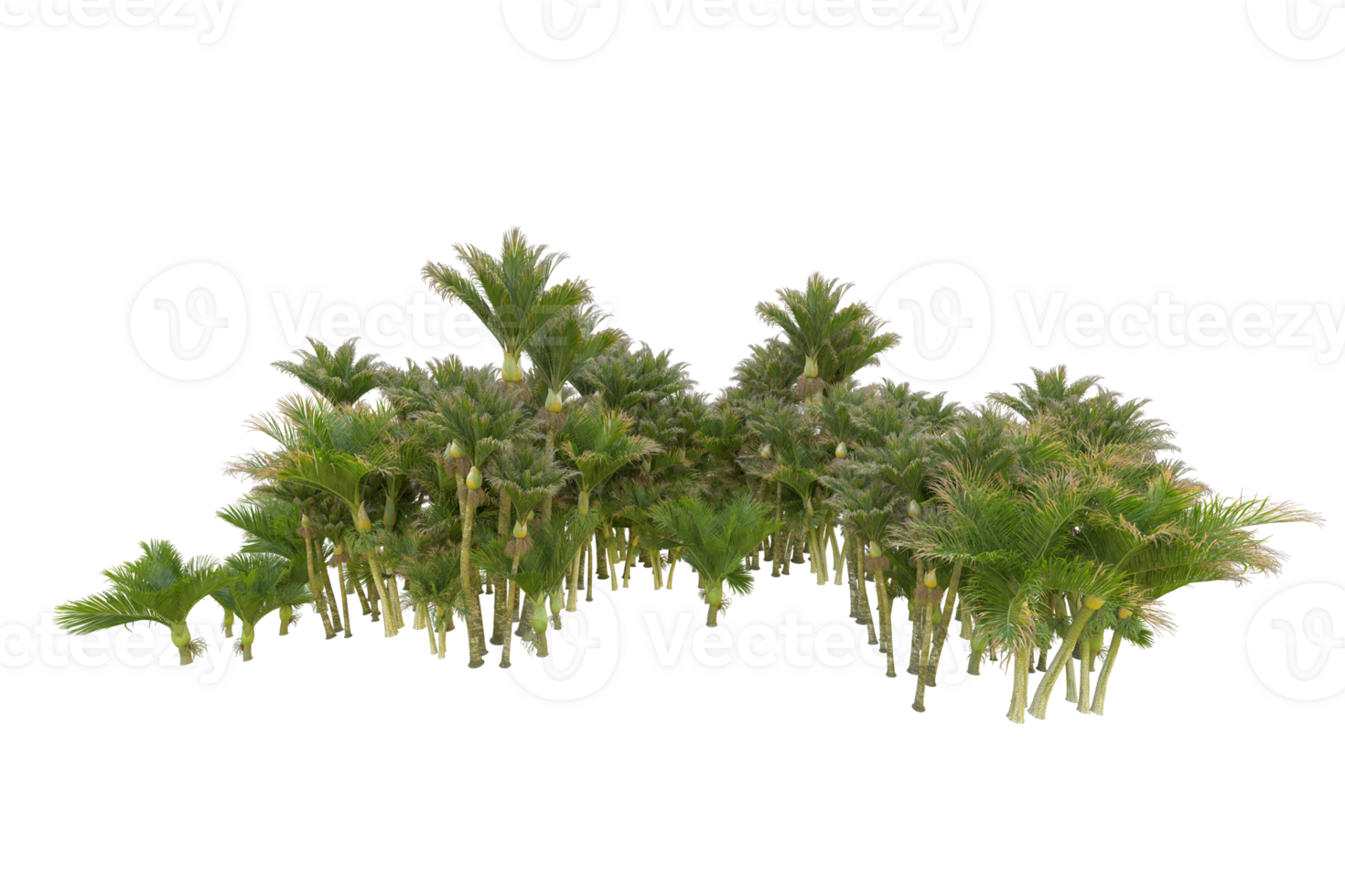 Tropical forest isolated on transparent background. 3d rendering - illustration png