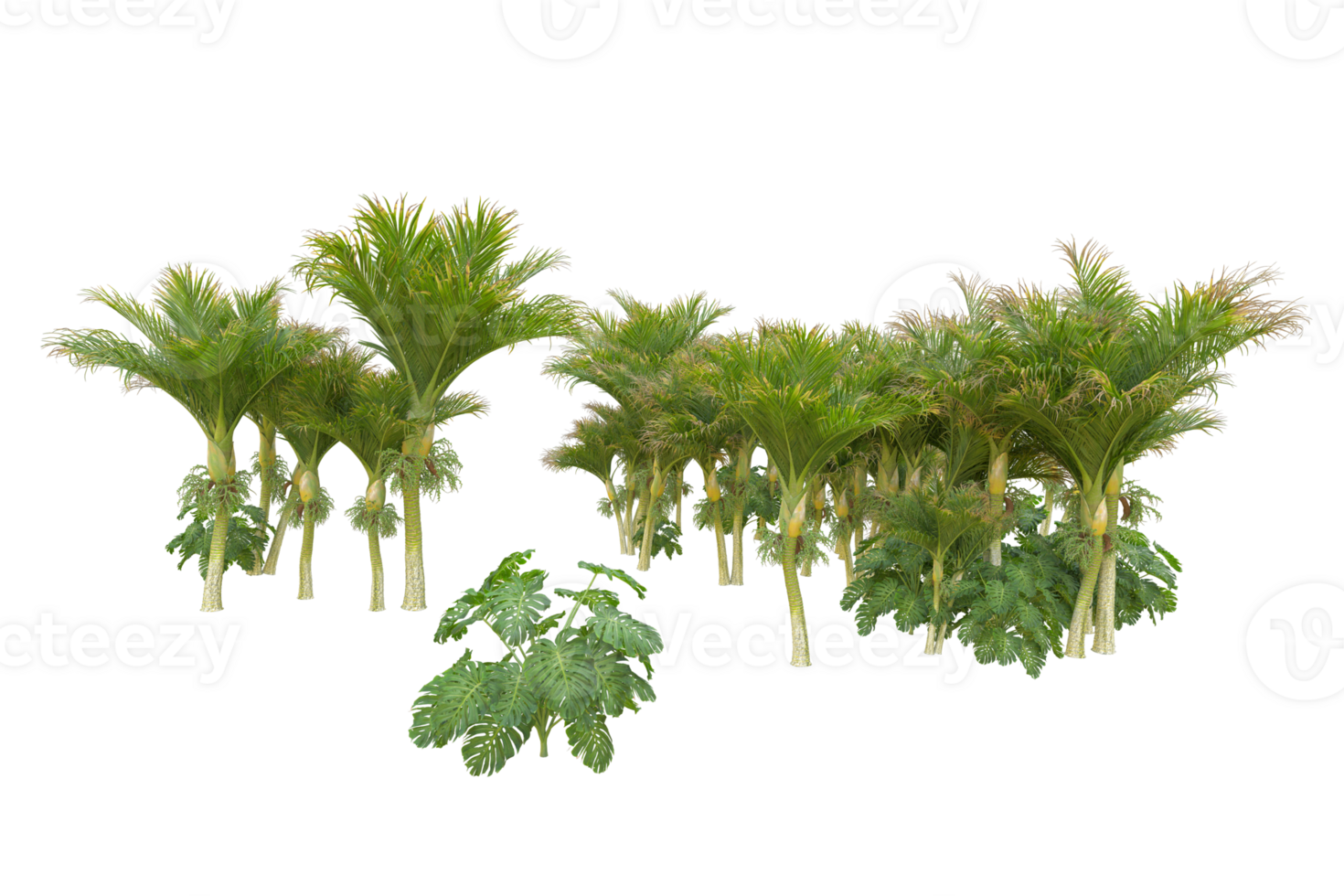 Tropical forest isolated on transparent background. 3d rendering - illustration png