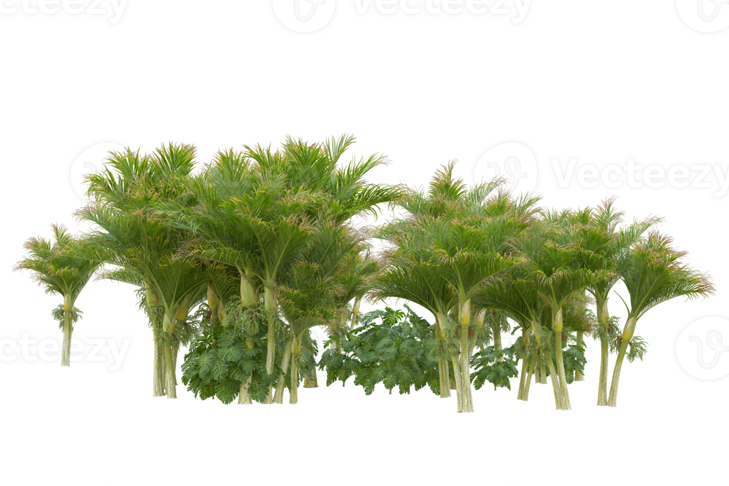 Tropical forest isolated on transparent background. 3d rendering - illustration png