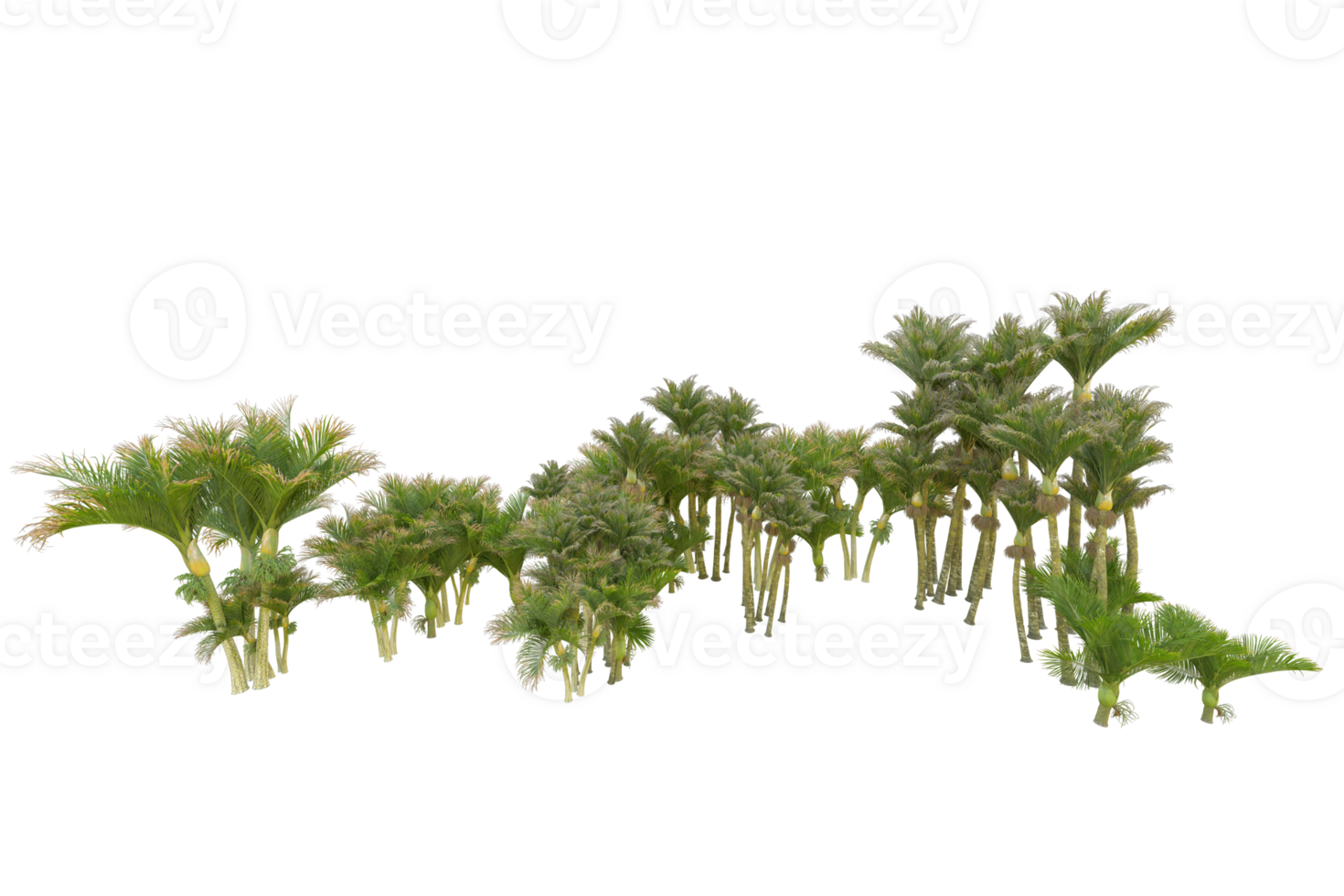 Tropical forest isolated on transparent background. 3d rendering - illustration png