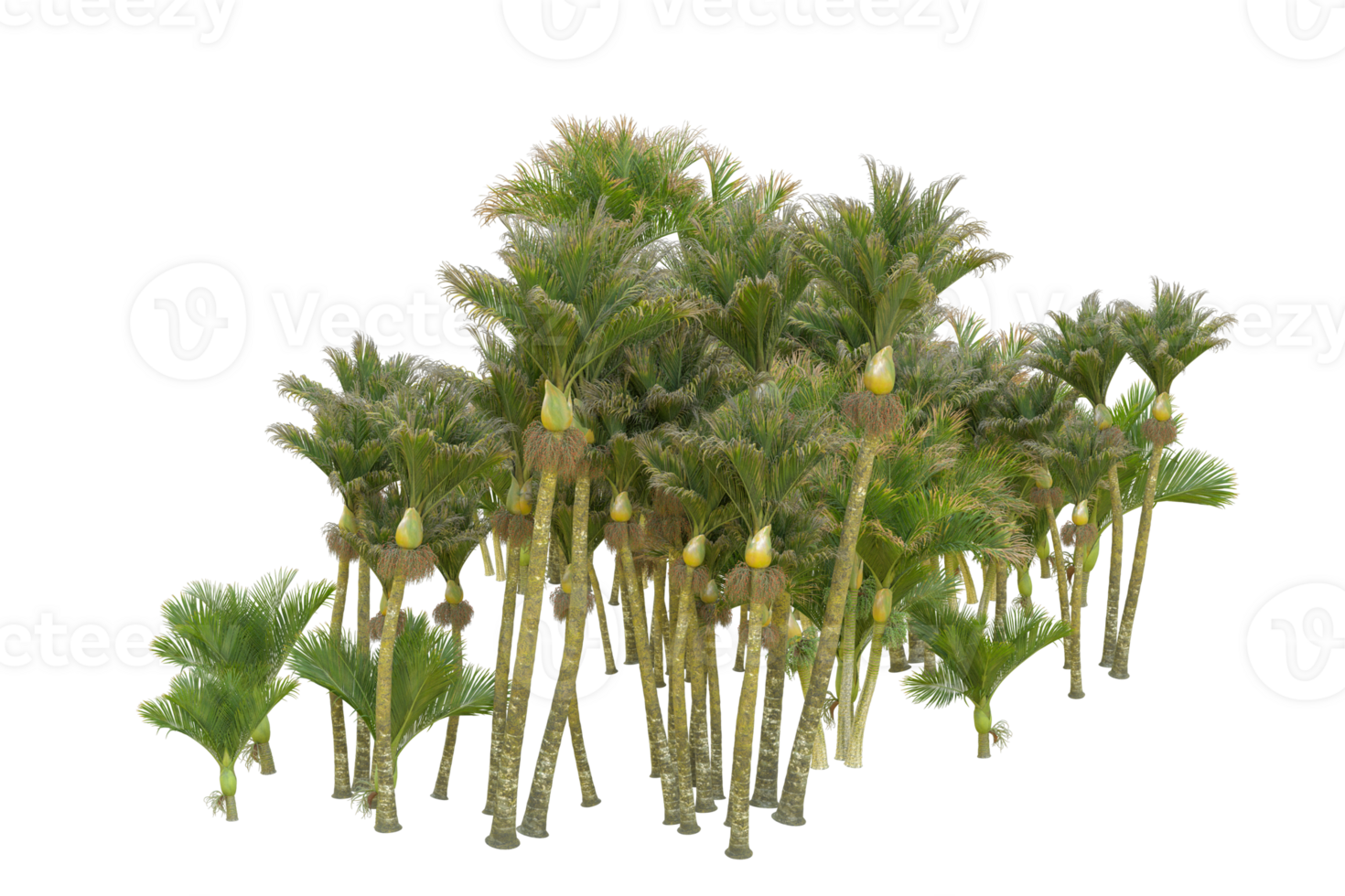 Tropical forest isolated on transparent background. 3d rendering - illustration png