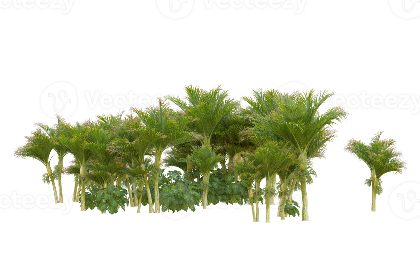 Tropical forest isolated on transparent background. 3d rendering - illustration png