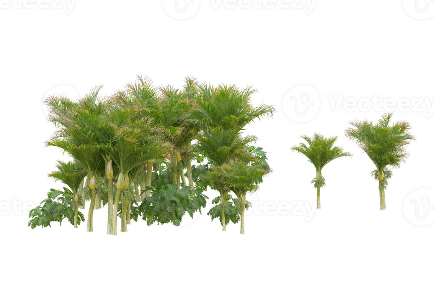 Tropical forest isolated on transparent background. 3d rendering - illustration png