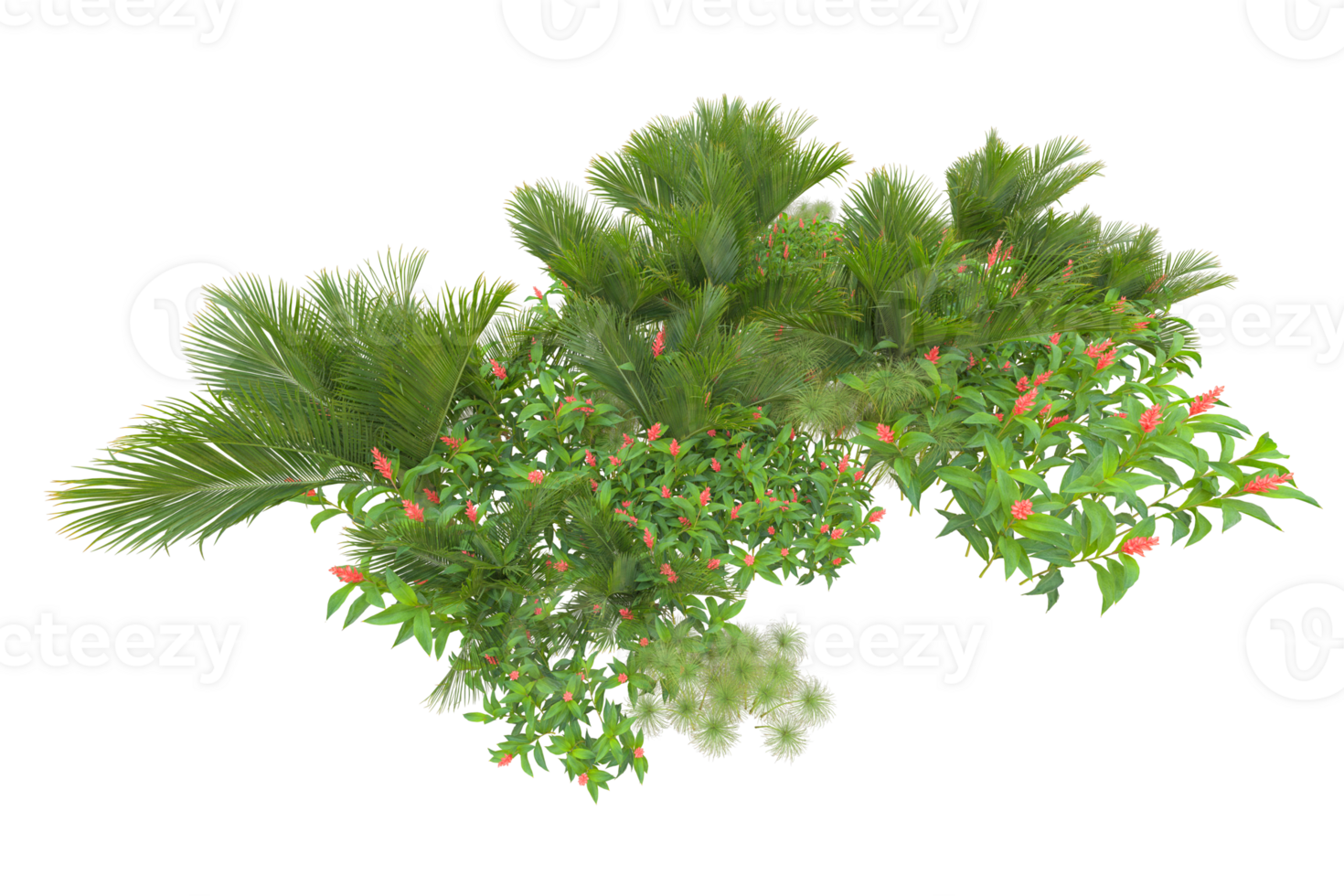 Tropical forest isolated on transparent background. 3d rendering - illustration png